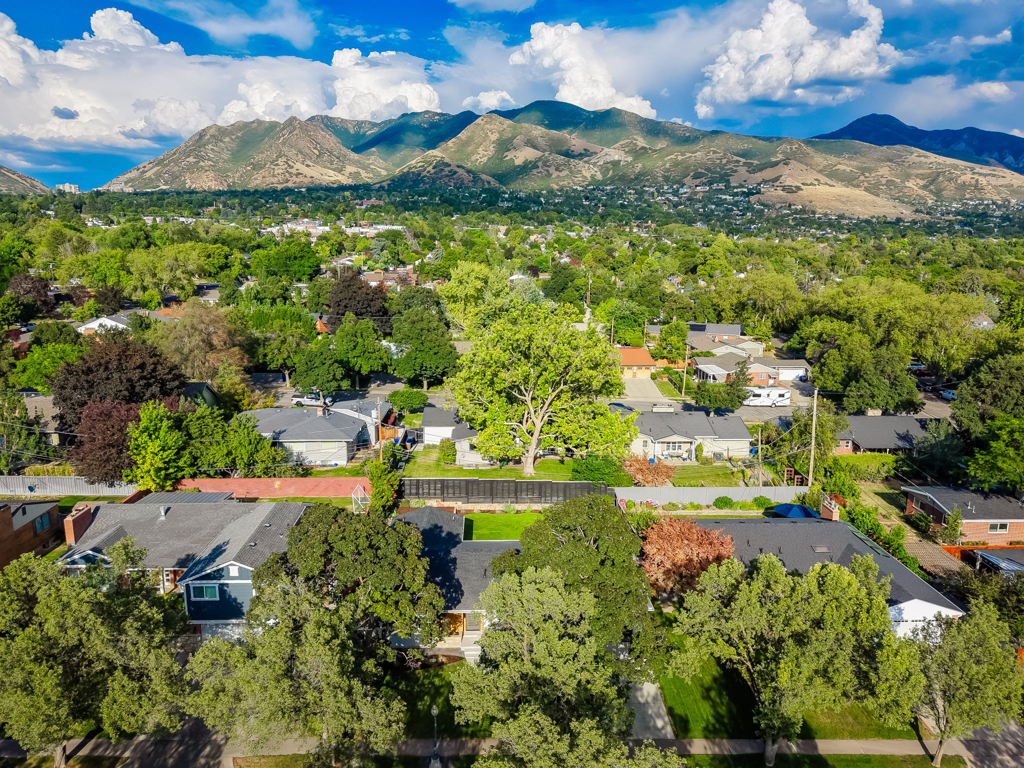 Neighborhood setting with mature trees and established residential properties