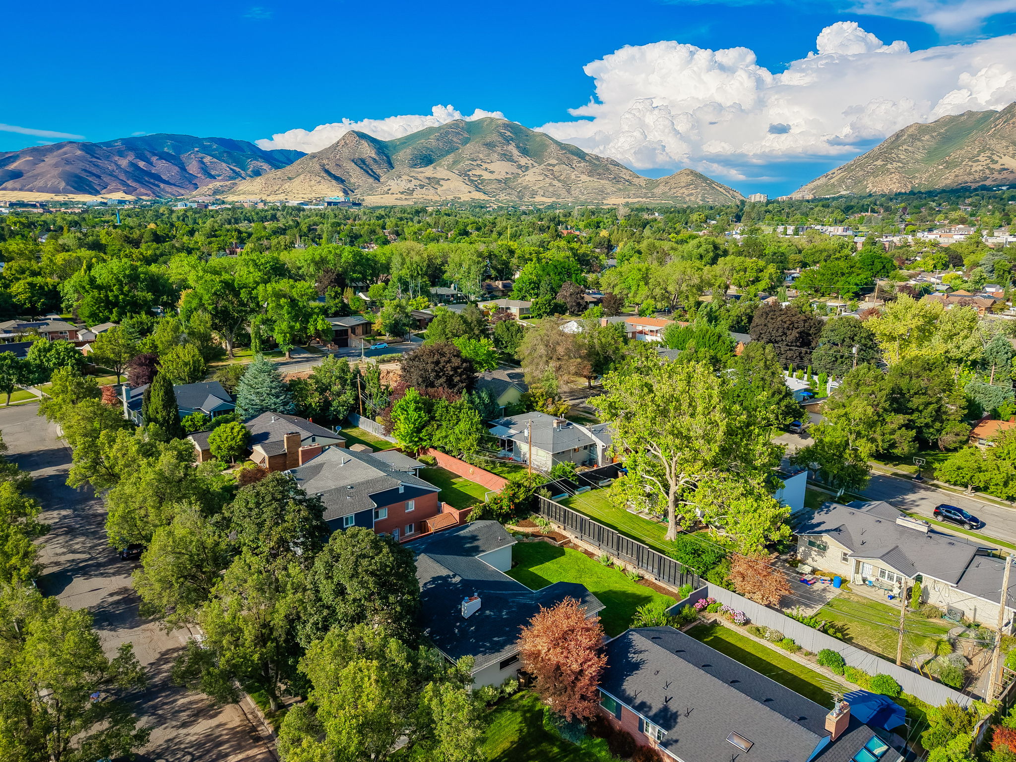 Expansive neighborhood setting featuring mature trees and mountain scenery