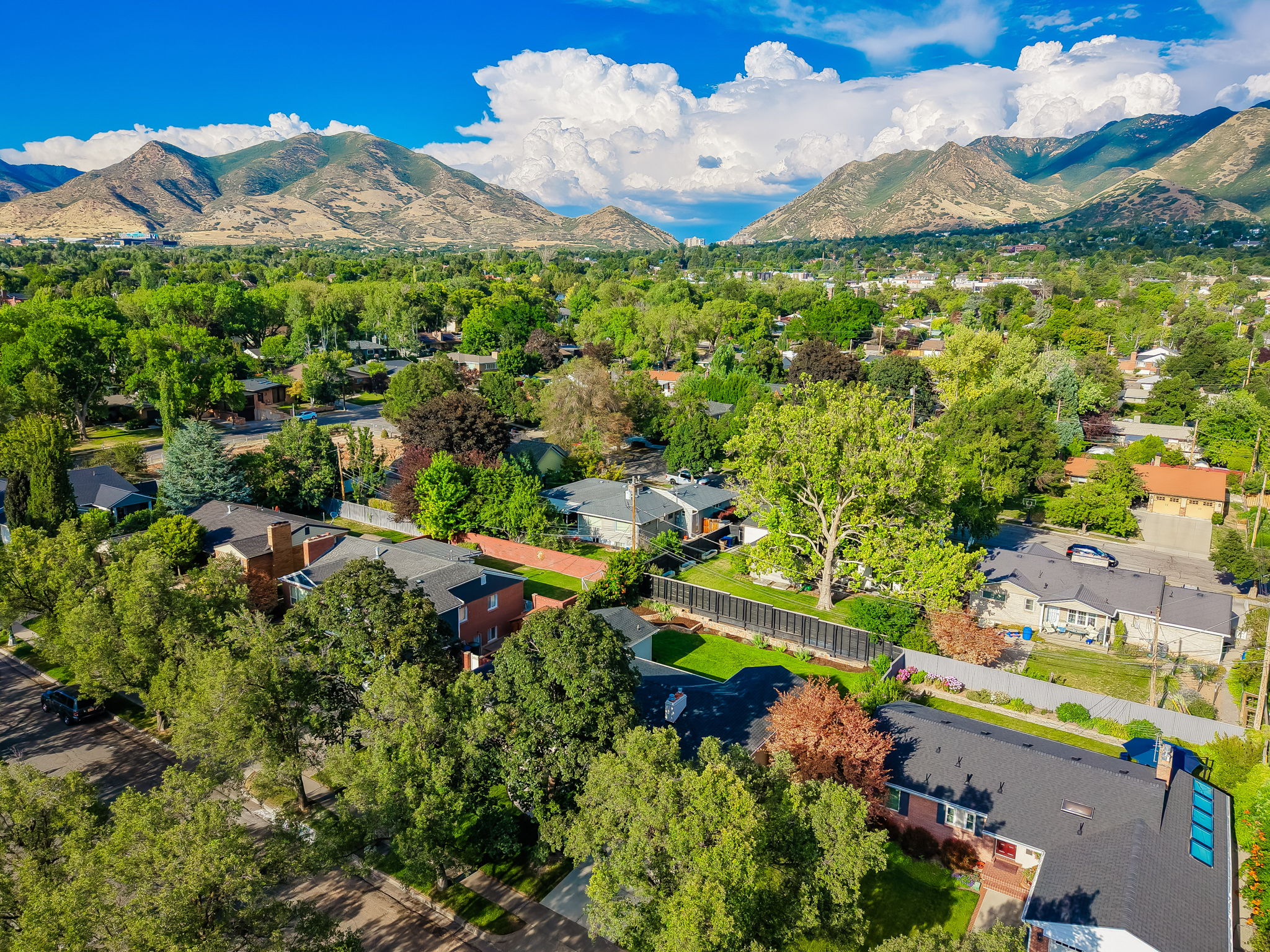 Expansive aerial perspective showcasing a residential area with varied housing styles and mature tree canopies