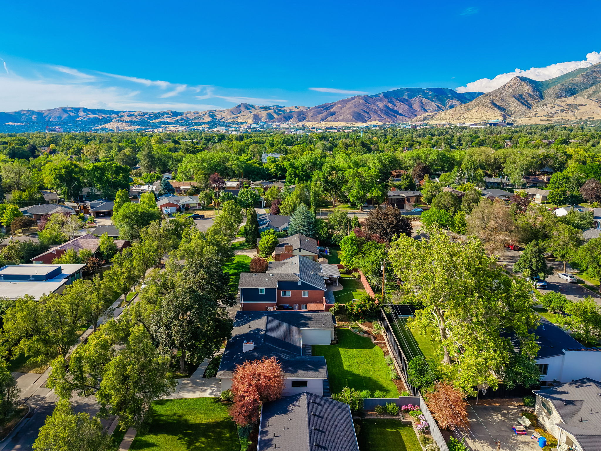 Aerial perspective showcasing a residential area with varied rooflines and mature landscaping
