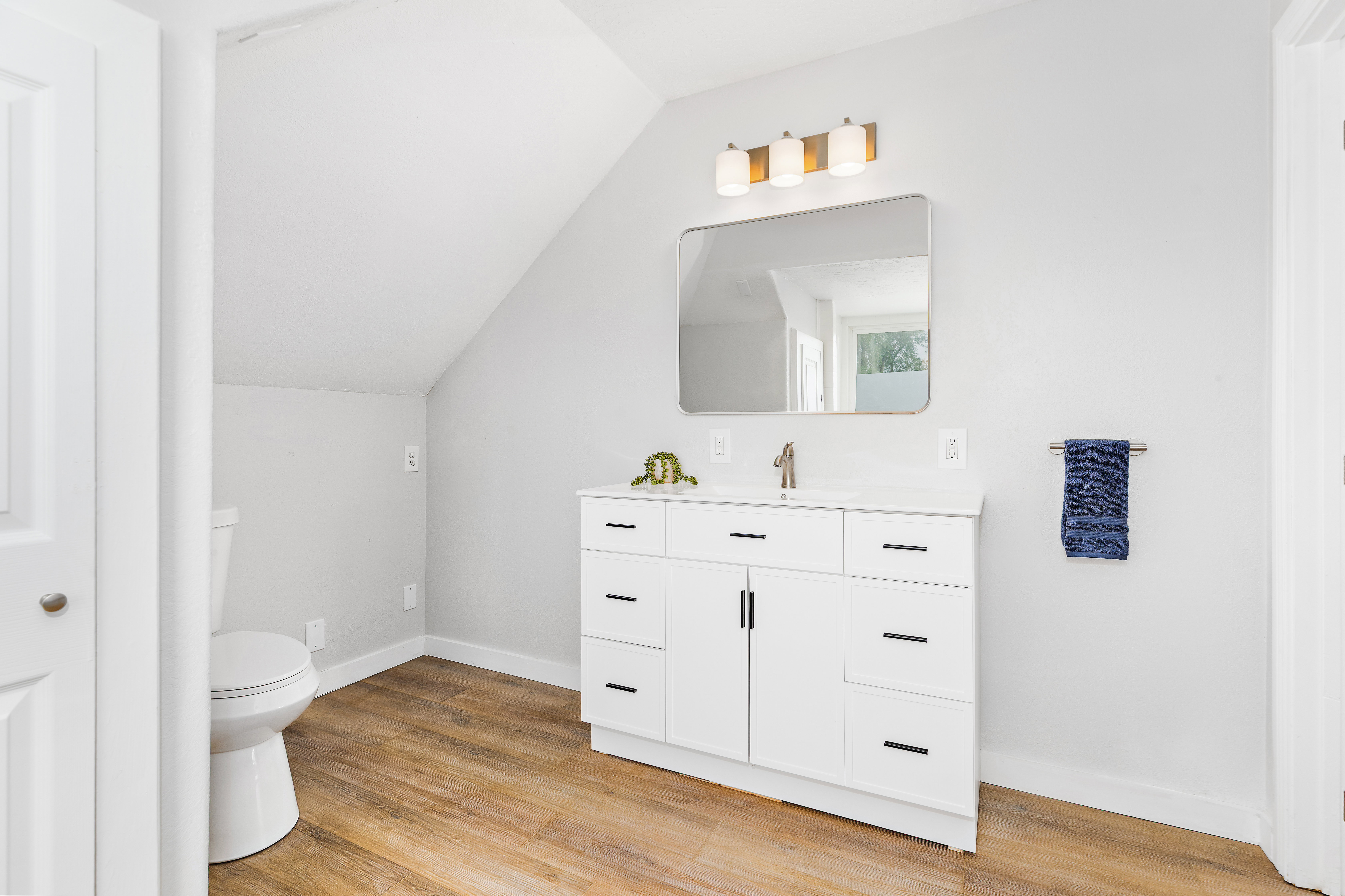 Bathroom featuring a white vanity with black hardware, a rectangular mirror, and a three-light vanity fixture