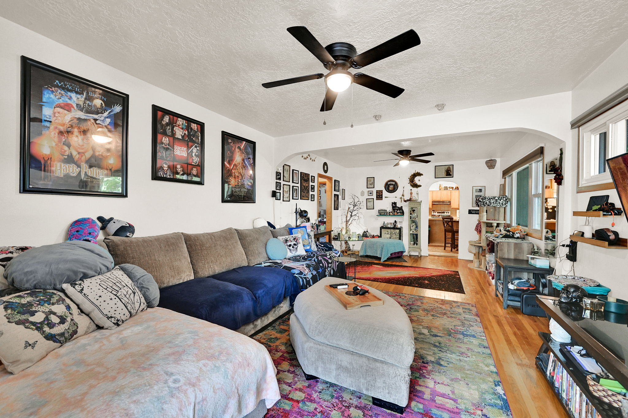 Spacious interior featuring a ceiling fan with integrated lighting, wood-finish flooring, and white walls
