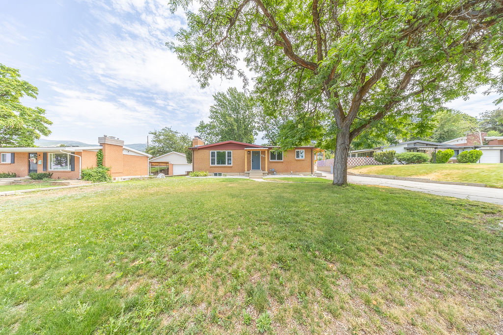 Expansive front lawn with mature trees and a paved driveway