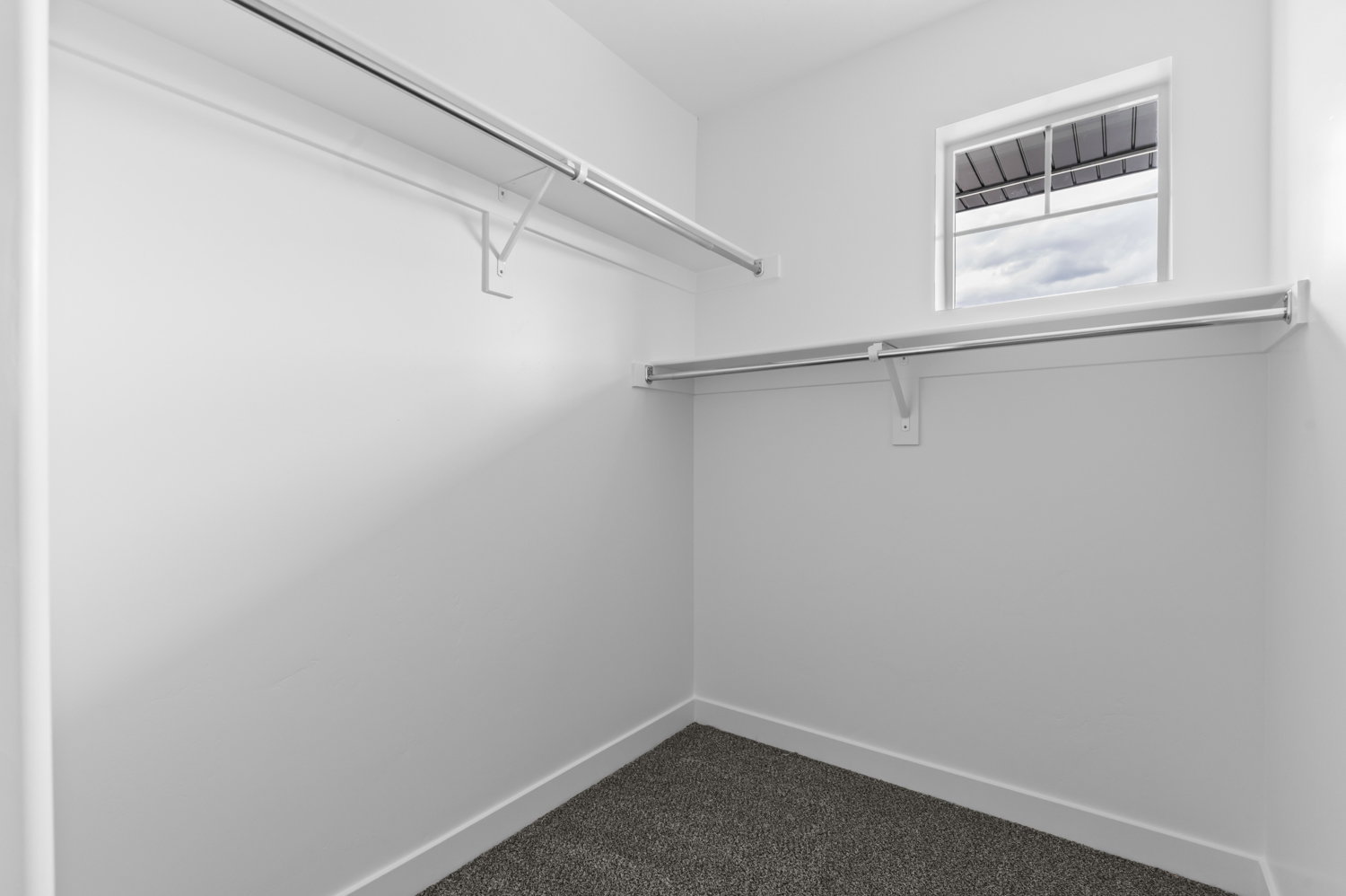 Walk-in closet featuring carpet flooring, crisp white walls, multiple shelving units, and a window providing natural light