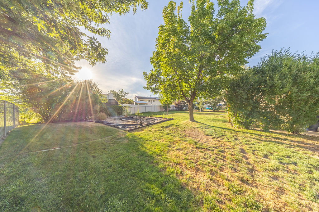 Expansive backyard featuring mature trees, established shrubs, a chain-link fence, and a defined garden bed