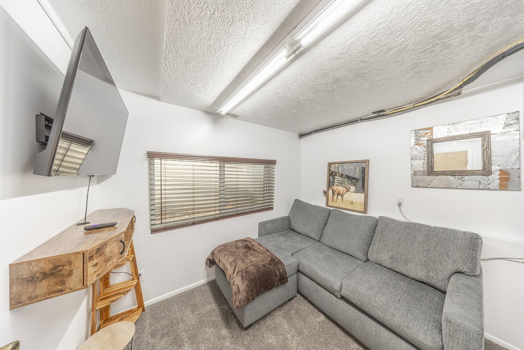 Carpeted living area featuring a single window with blinds, overhead fluorescent lighting, and a wall-mounted display