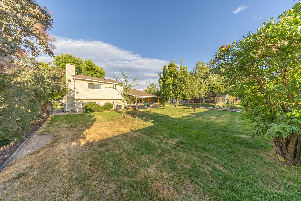 Expansive backyard featuring a manicured lawn, established trees, and a covered patio
