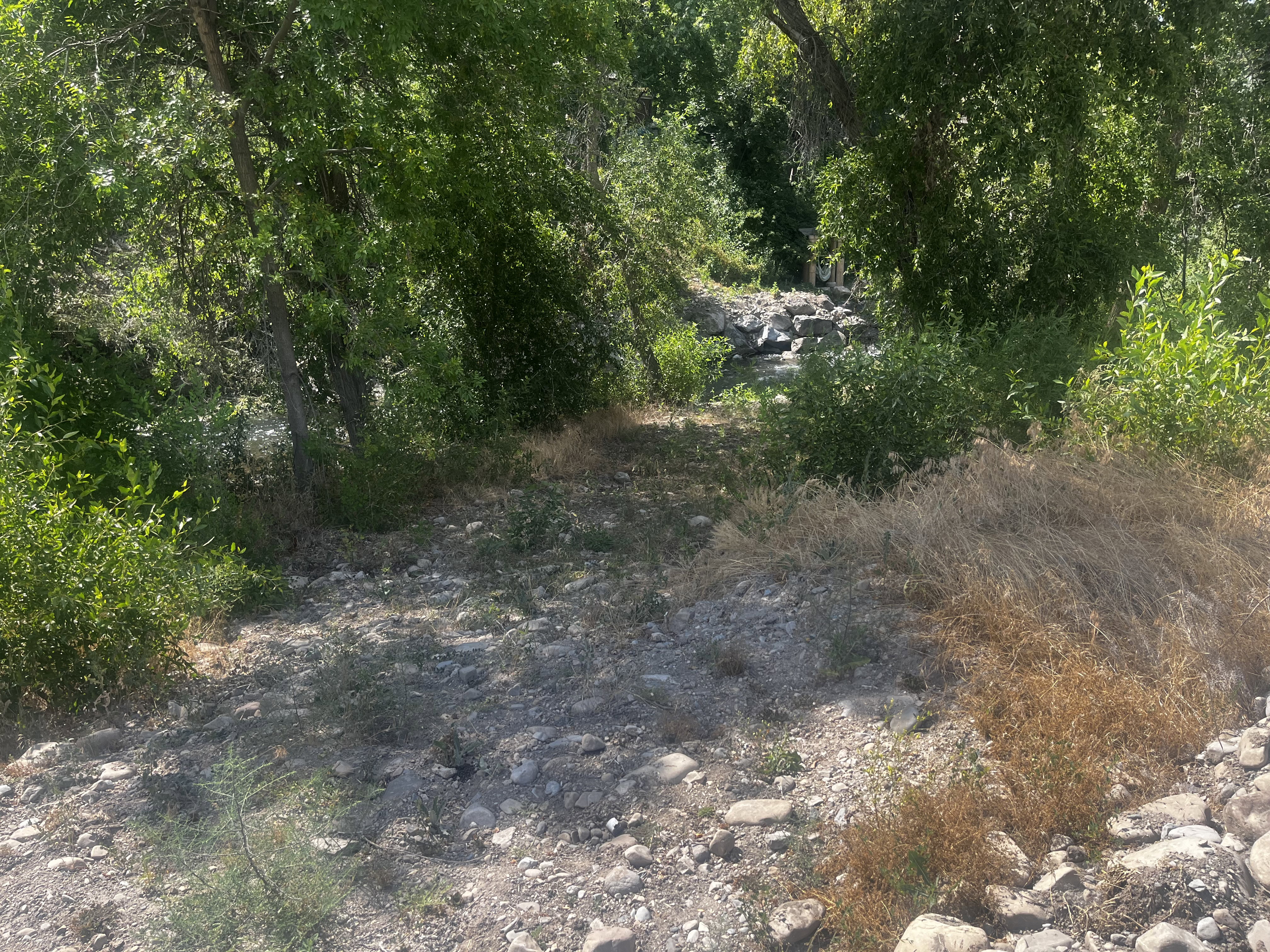 Back of Lot to right on Provo river