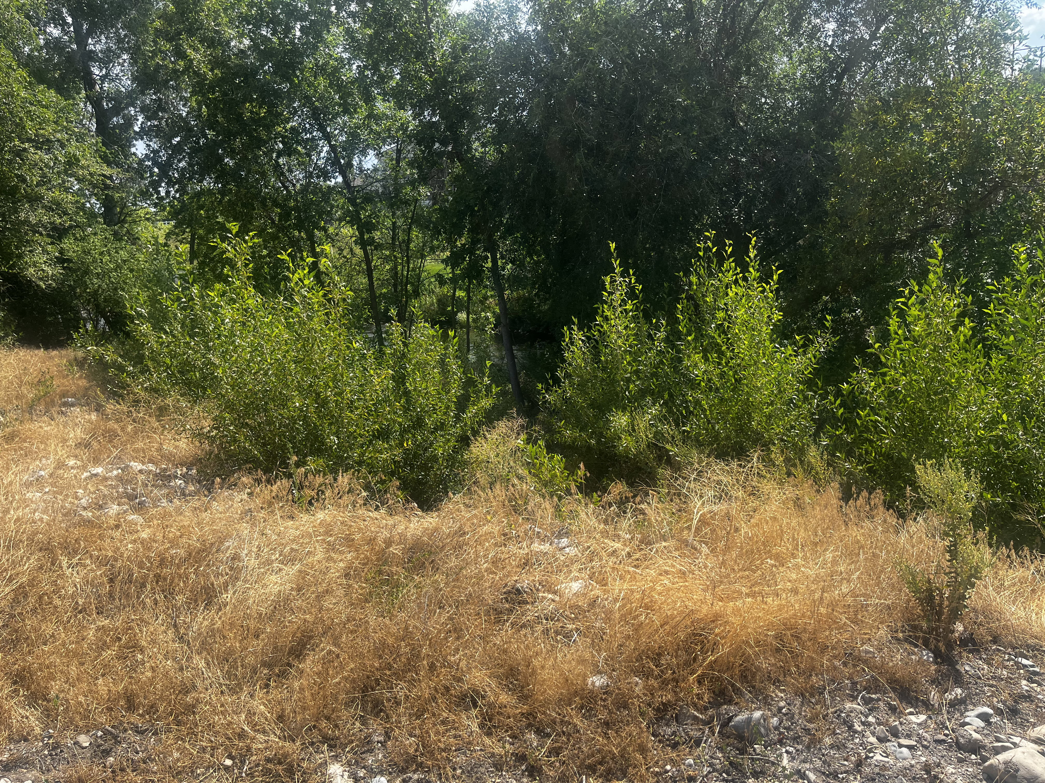 Provo river to Left