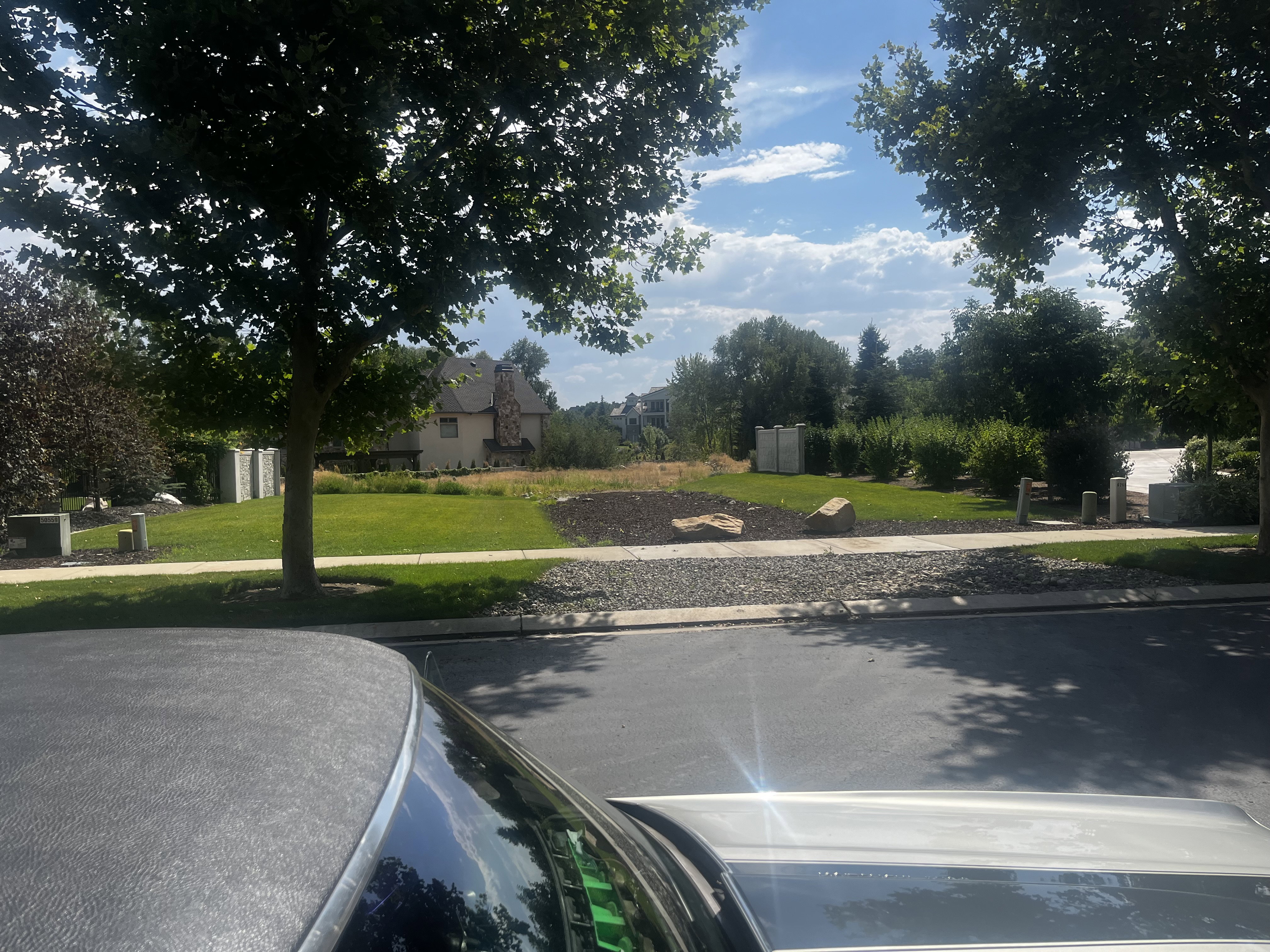 Main Drive between two trees