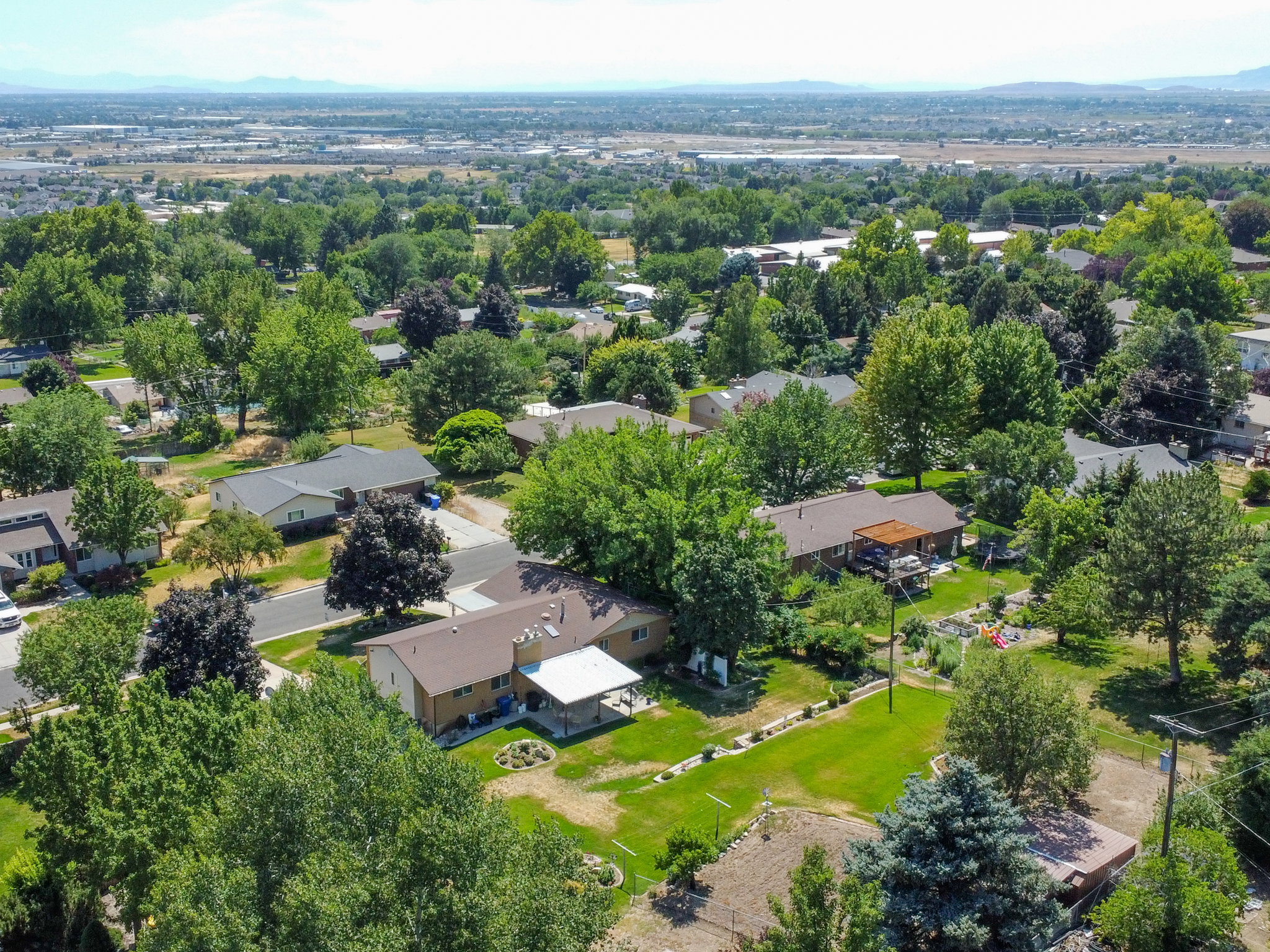 Suburban neighborhood featuring mature trees and established residential properties