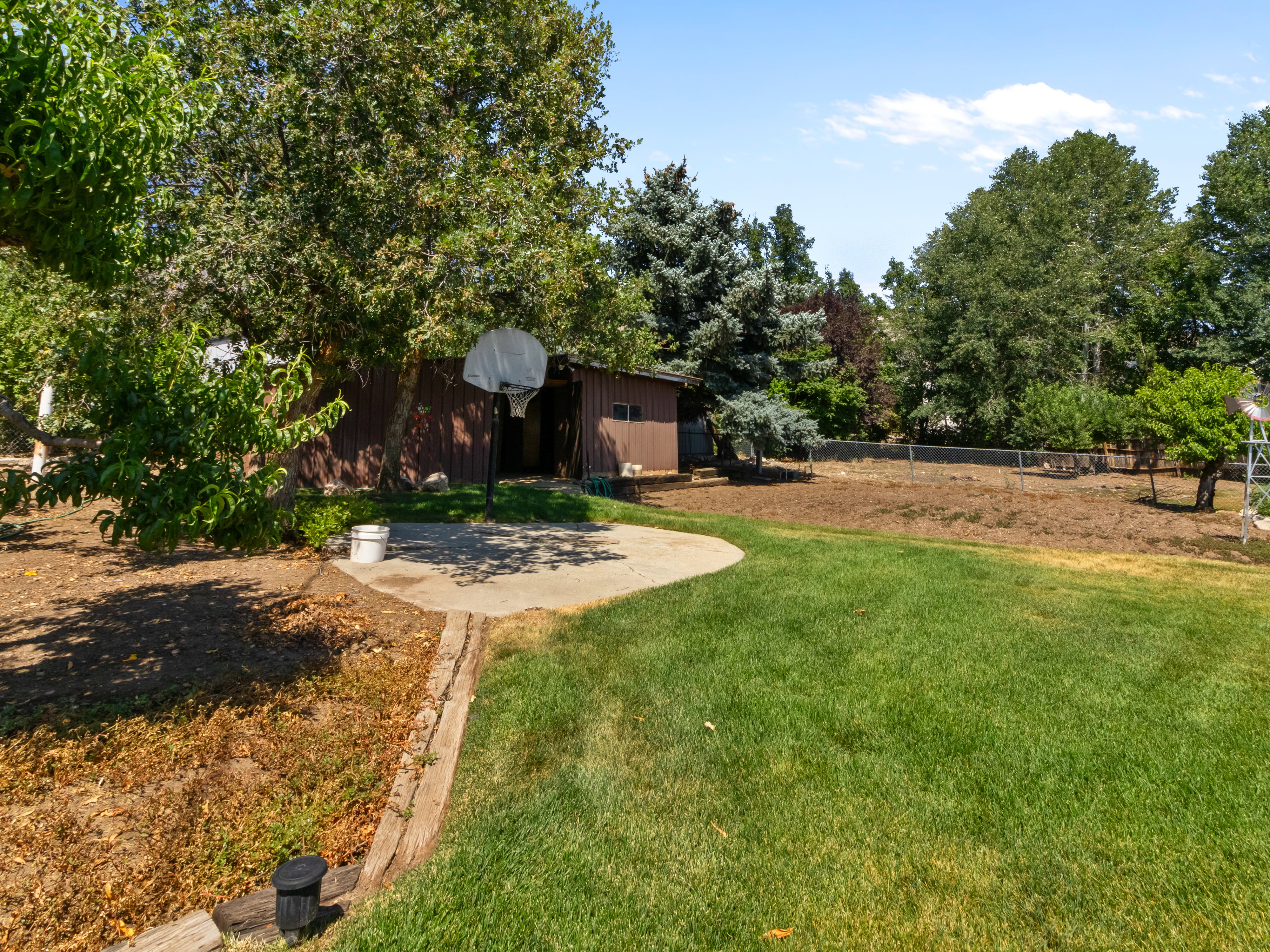 Expansive backyard featuring a large grass area, mature trees, a concrete pad, a freestanding structure, and a chain-link fence