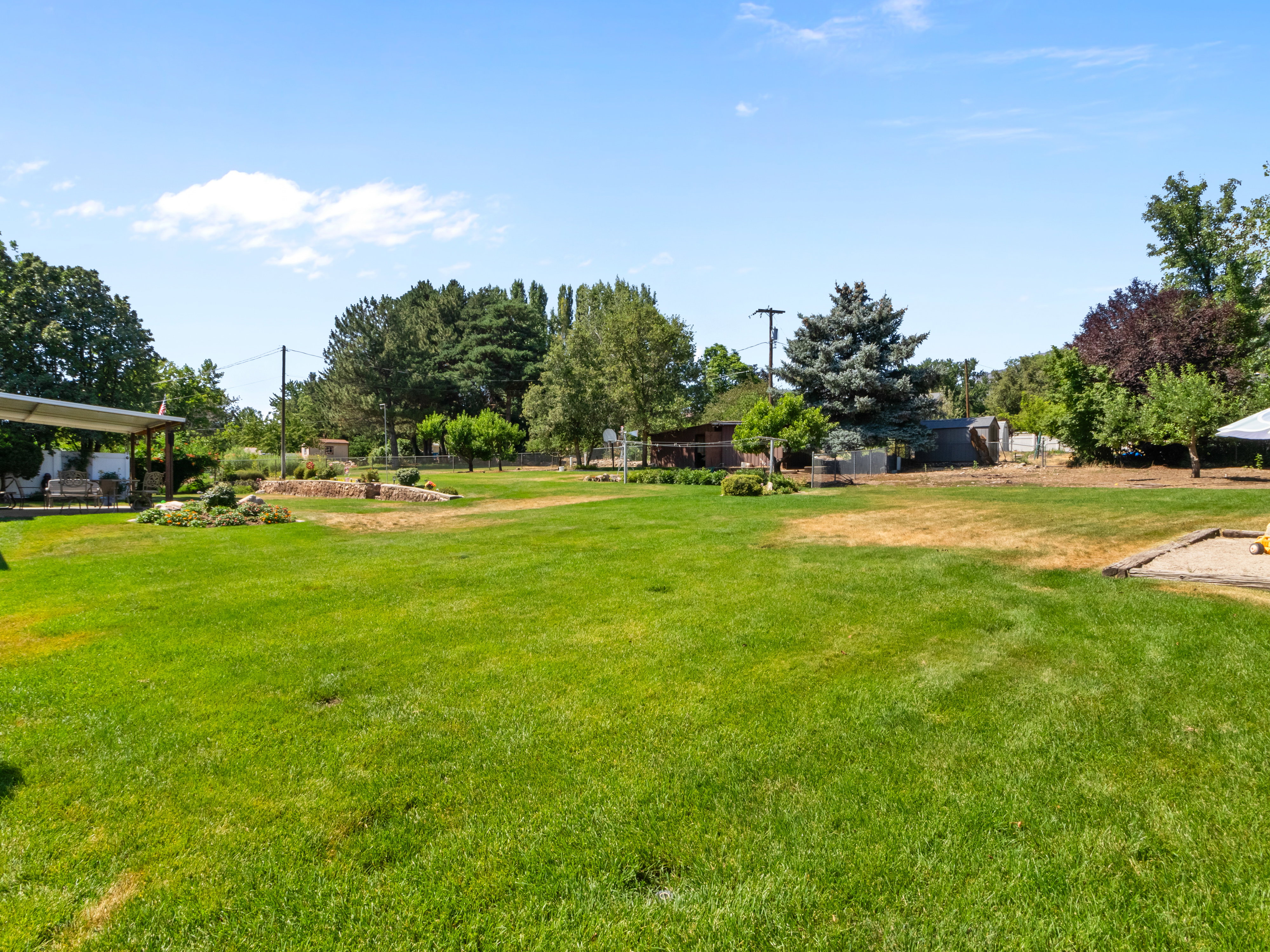 Expansive backyard featuring a large grass lawn, mature trees, and landscaping elements
