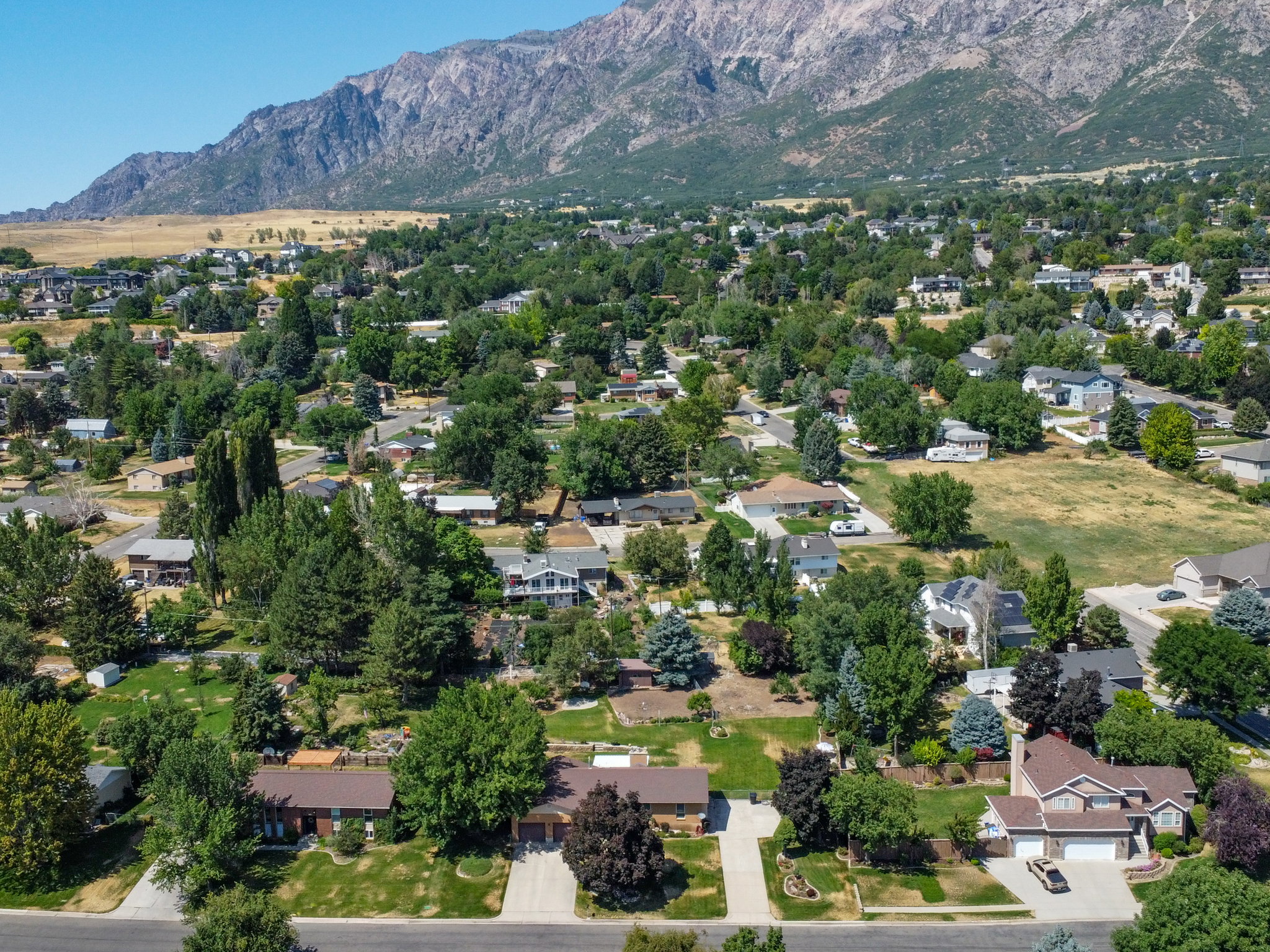 Aerial perspective showcasing a residential area with mature trees and mountain backdrop