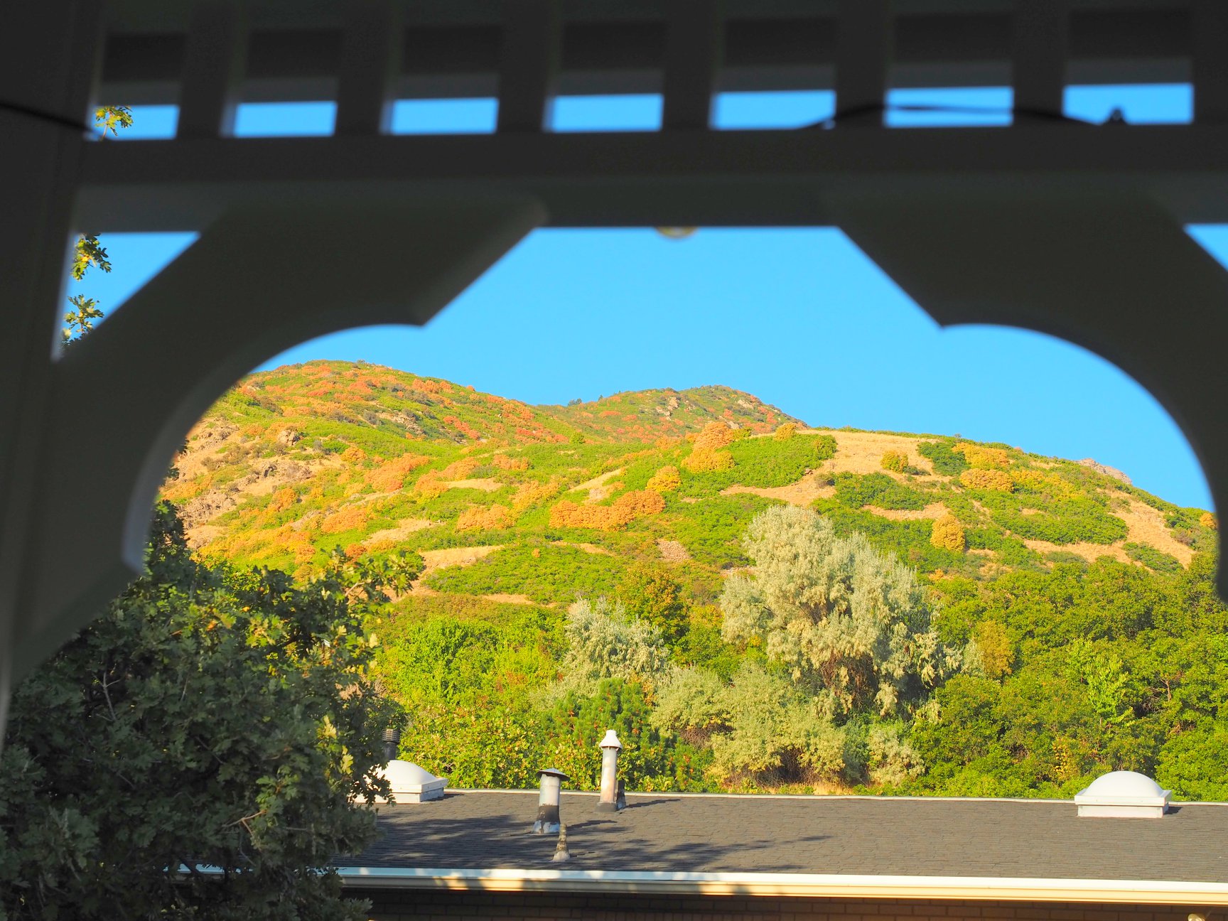 Framed mountain landscape featuring diverse foliage and a clear sky, with a dark-shingled roof in the foreground