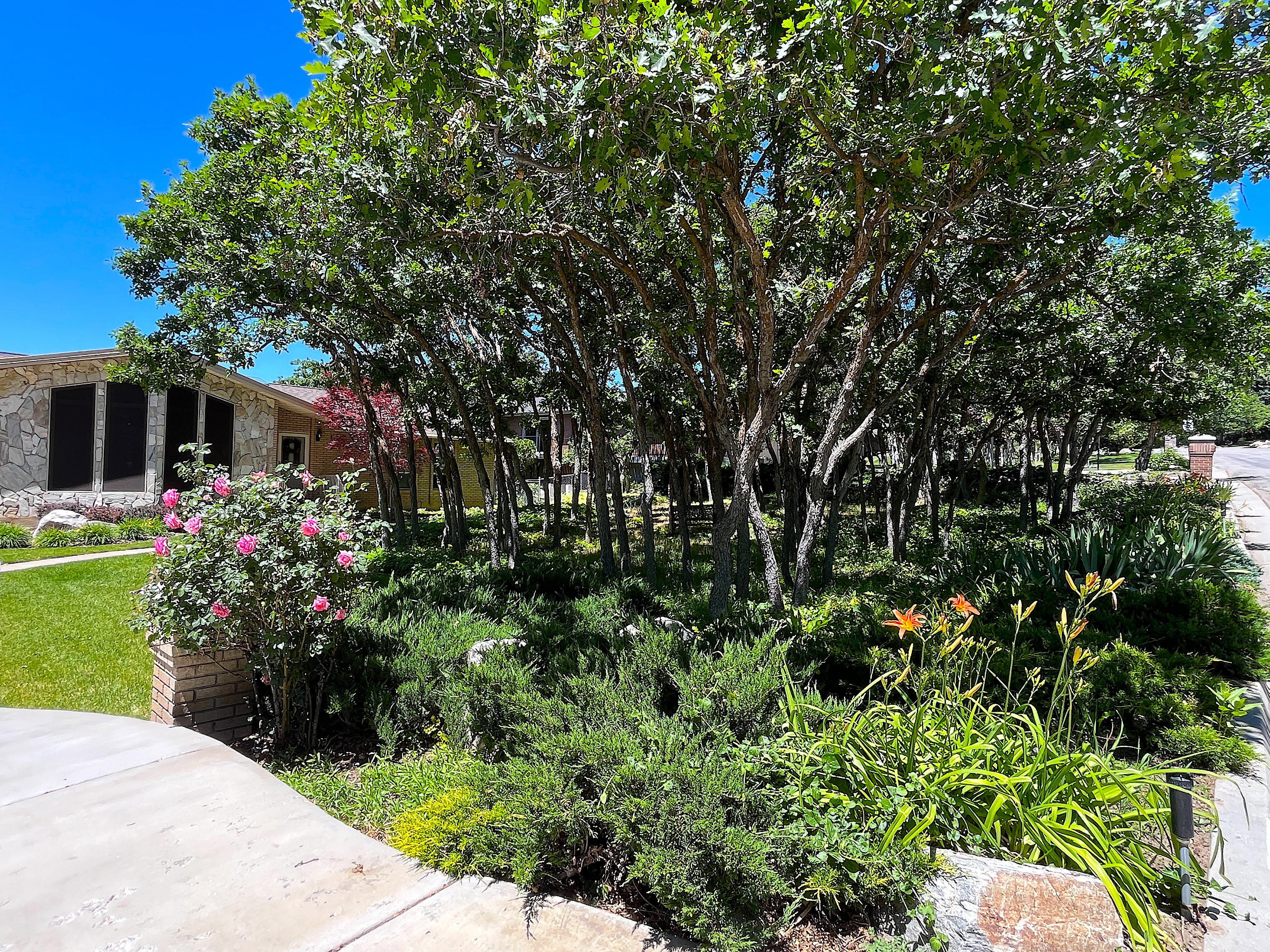 Stone veneer exterior with multiple window panels, complemented by mature trees and varied shrubbery