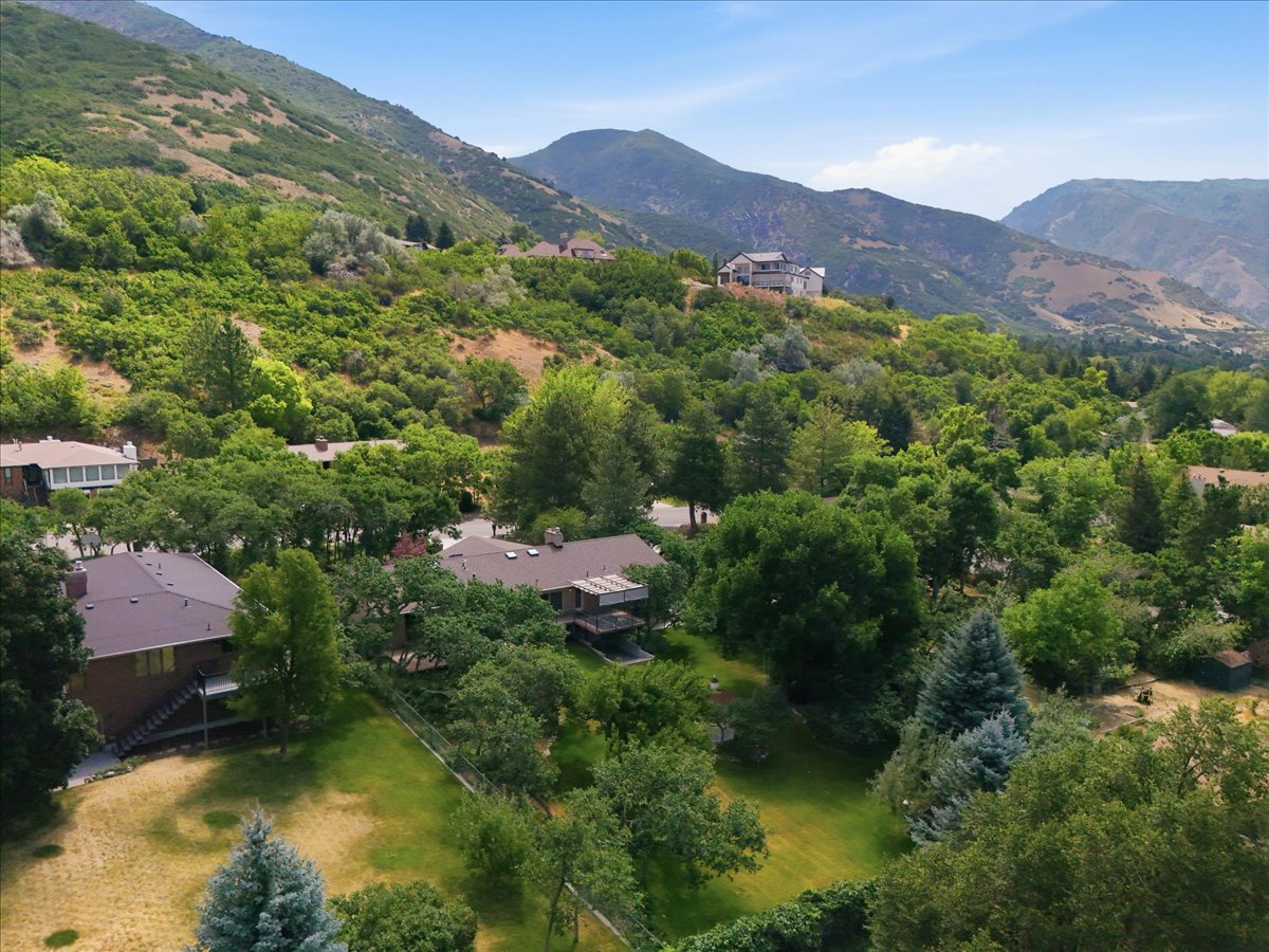 Expansive mountain landscape with diverse tree coverage