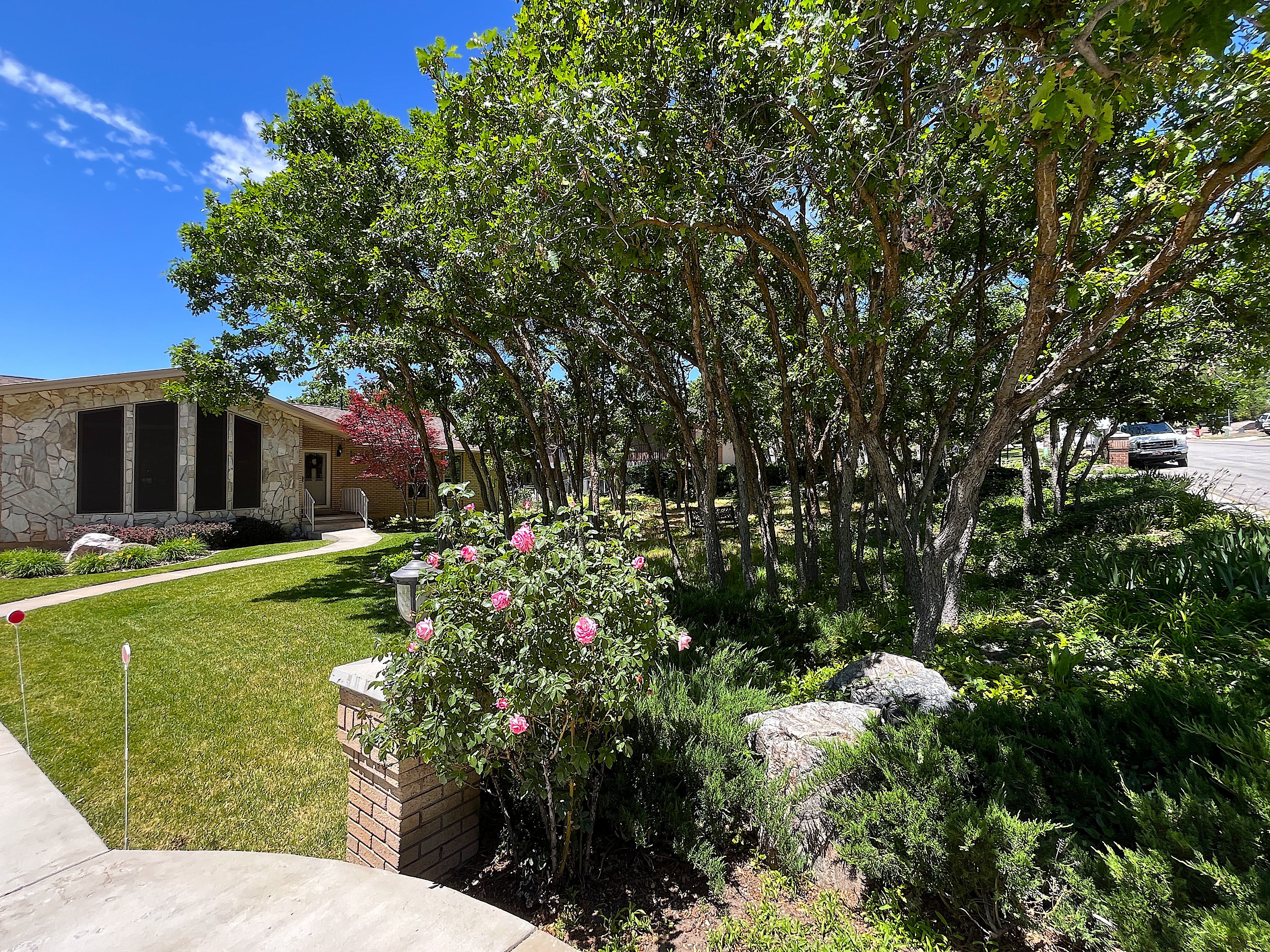Landscaped front yard featuring mature trees and shrubs