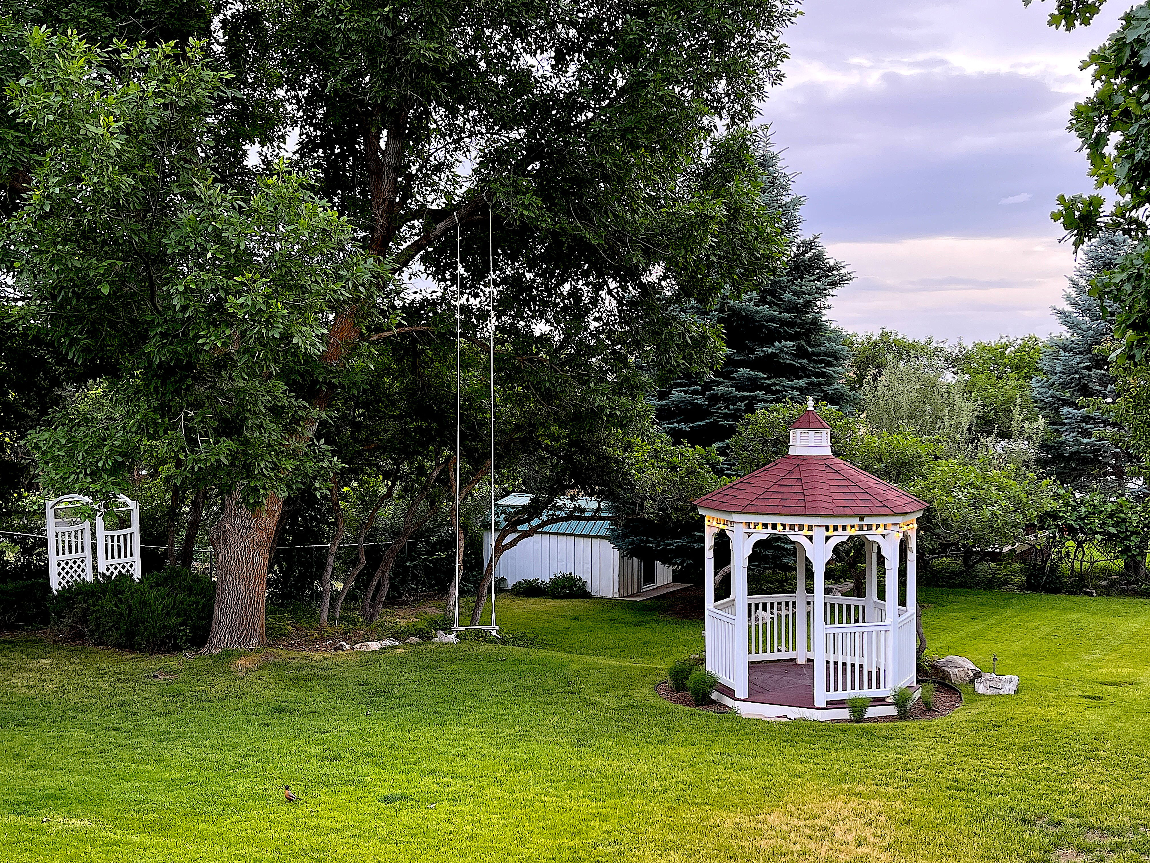 Spacious yard featuring a white gazebo with a red roof, surrounded by mature trees