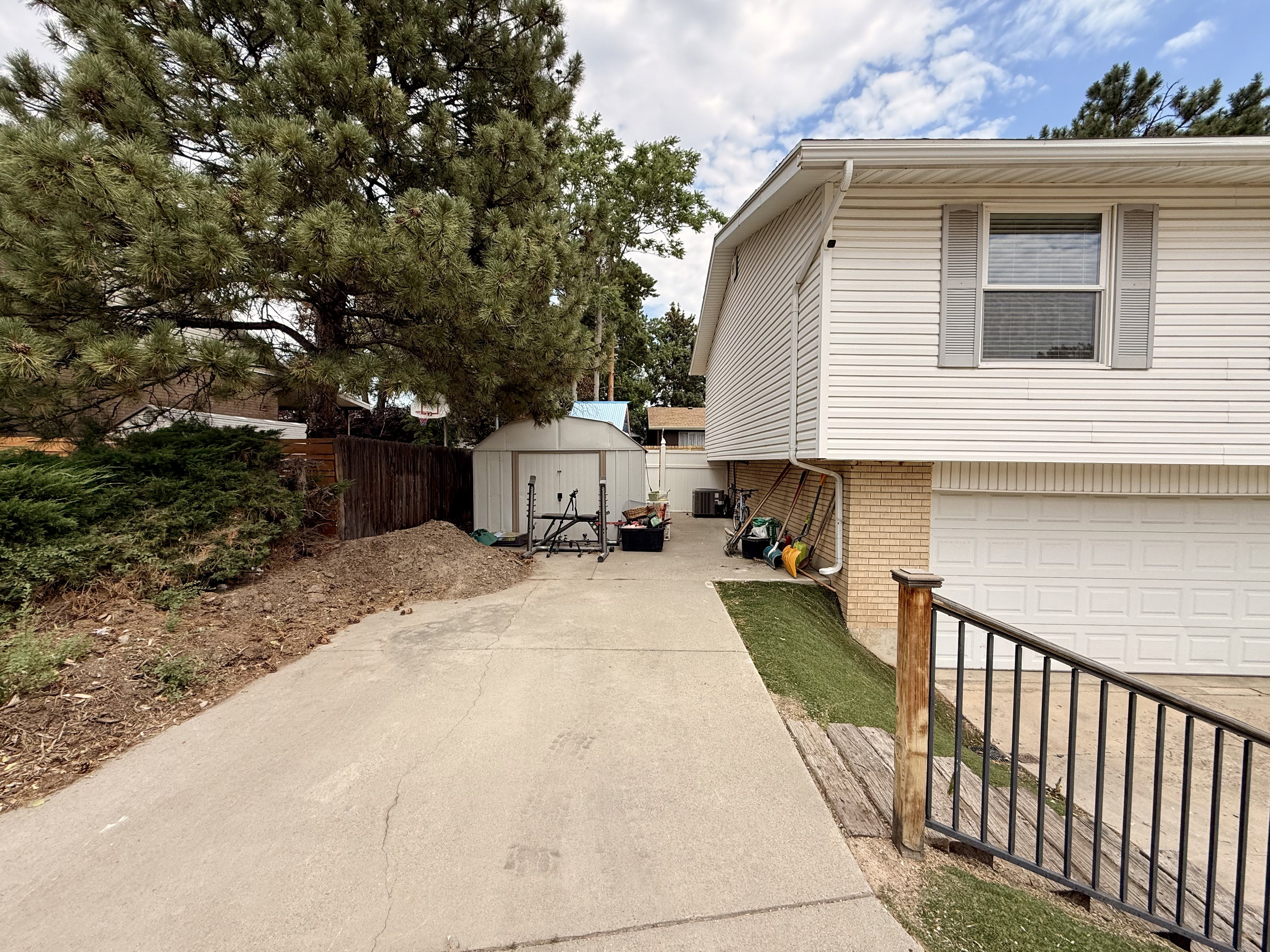 RV parking with mature evergreen trees, a concrete driveway, and a detached storage shed