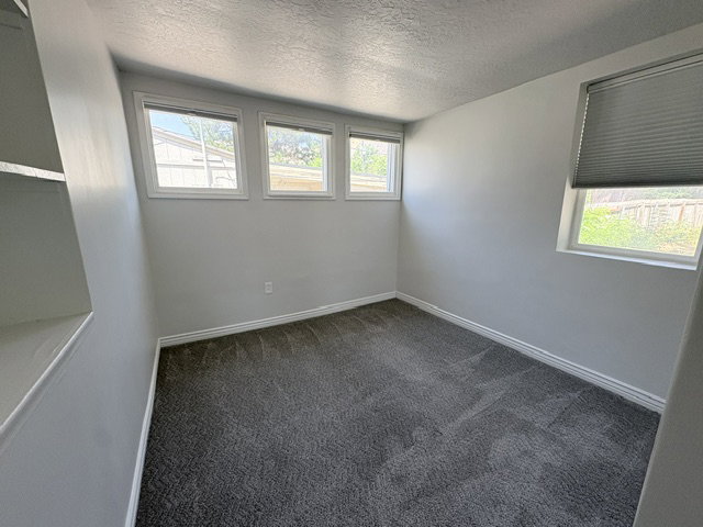 Room featuring light gray walls, gray carpeting, and white baseboards