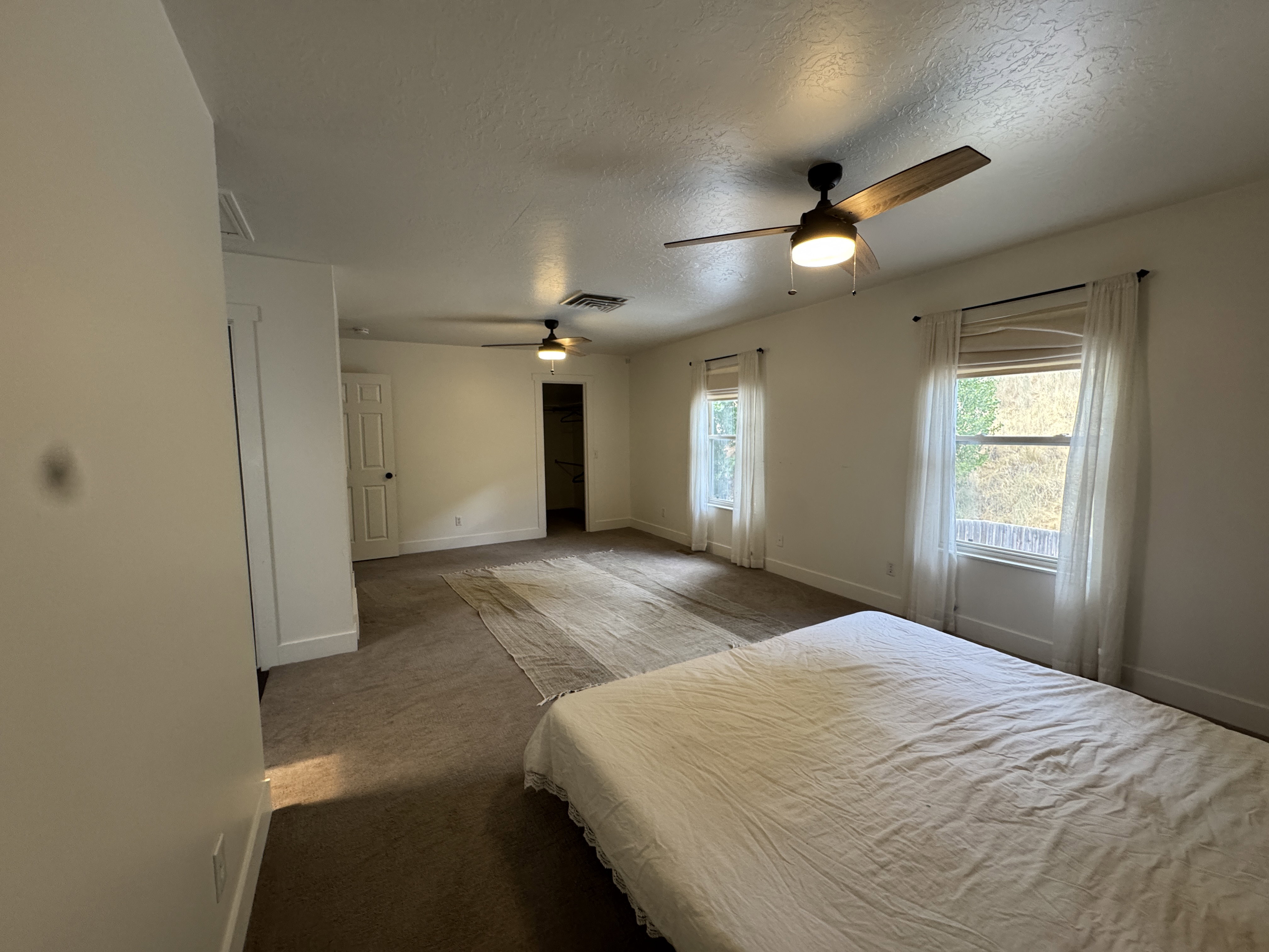 Spacious room featuring neutral carpet flooring, multiple windows with white trim, and two ceiling fans with integrated lighting