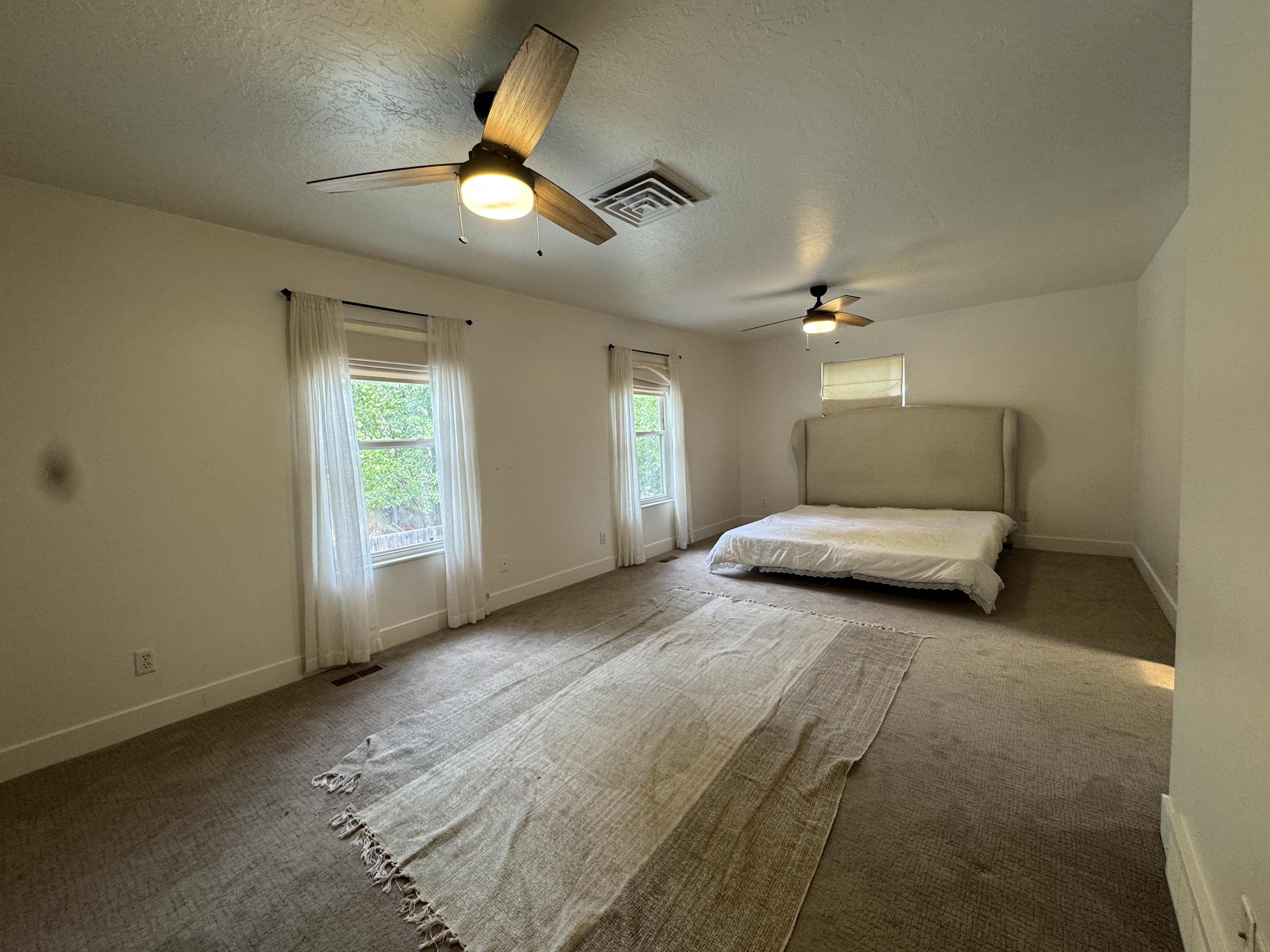 Spacious room featuring multiple windows with natural light, two ceiling fans with integrated lighting, and neutral-toned wall-to-wall carpeting