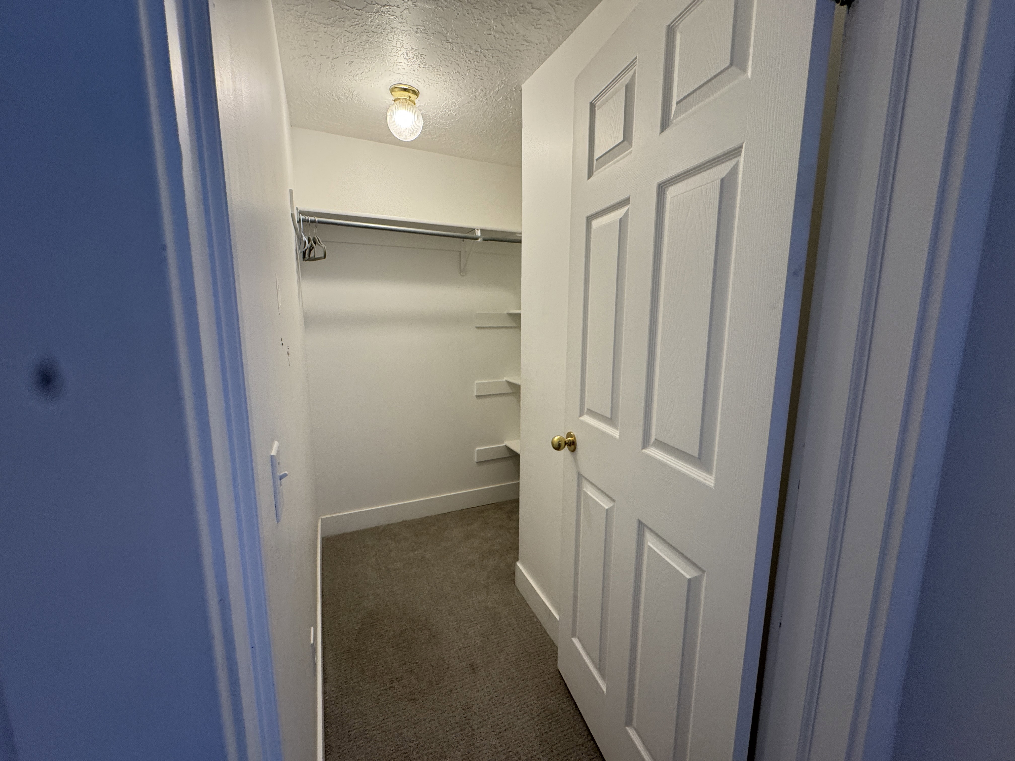 Walk-in closet featuring white walls, carpet flooring, a single overhead light fixture, and a white paneled door with a brass handle