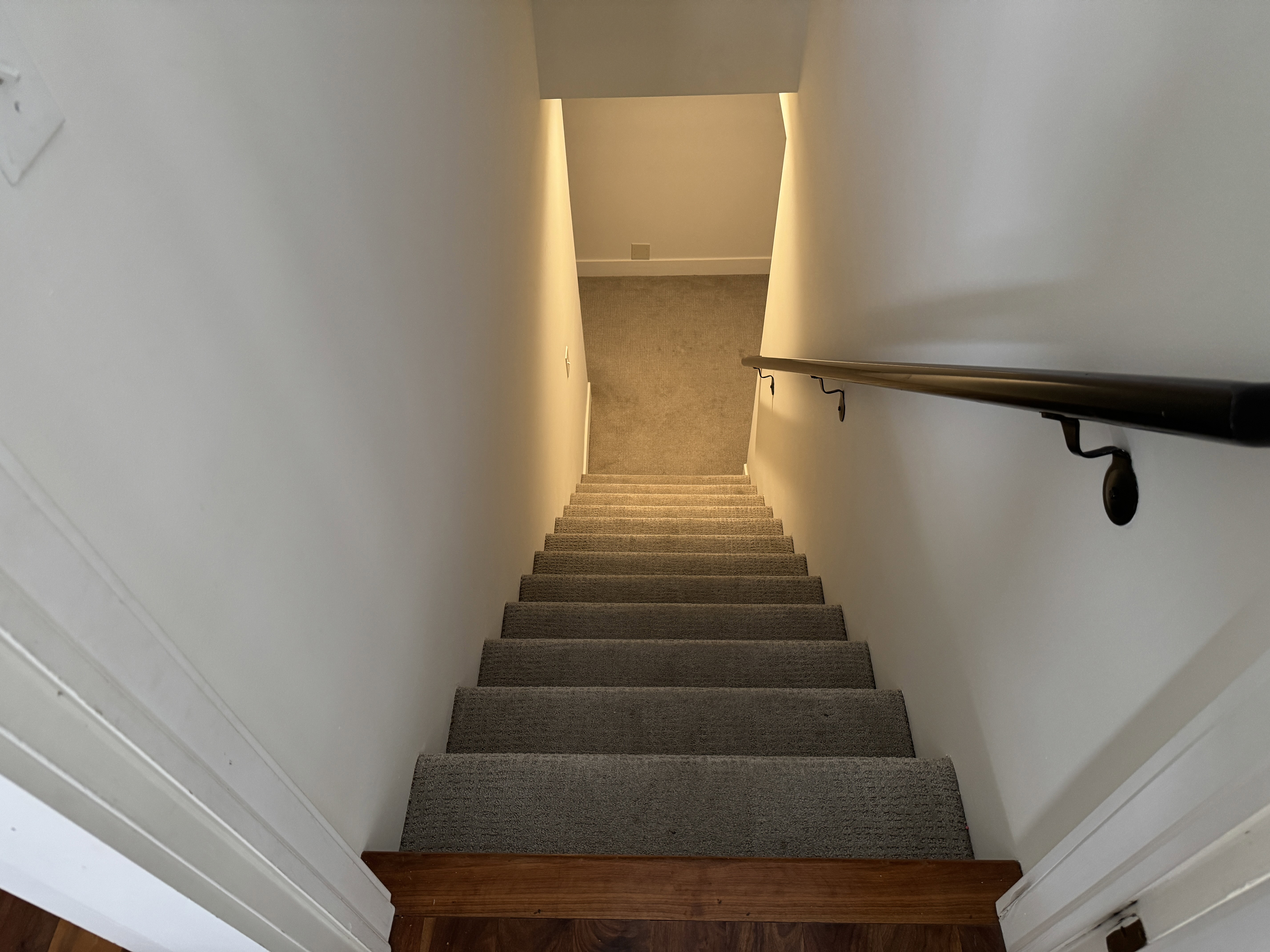 Carpeted staircase with a dark metal handrail and white wall paneling