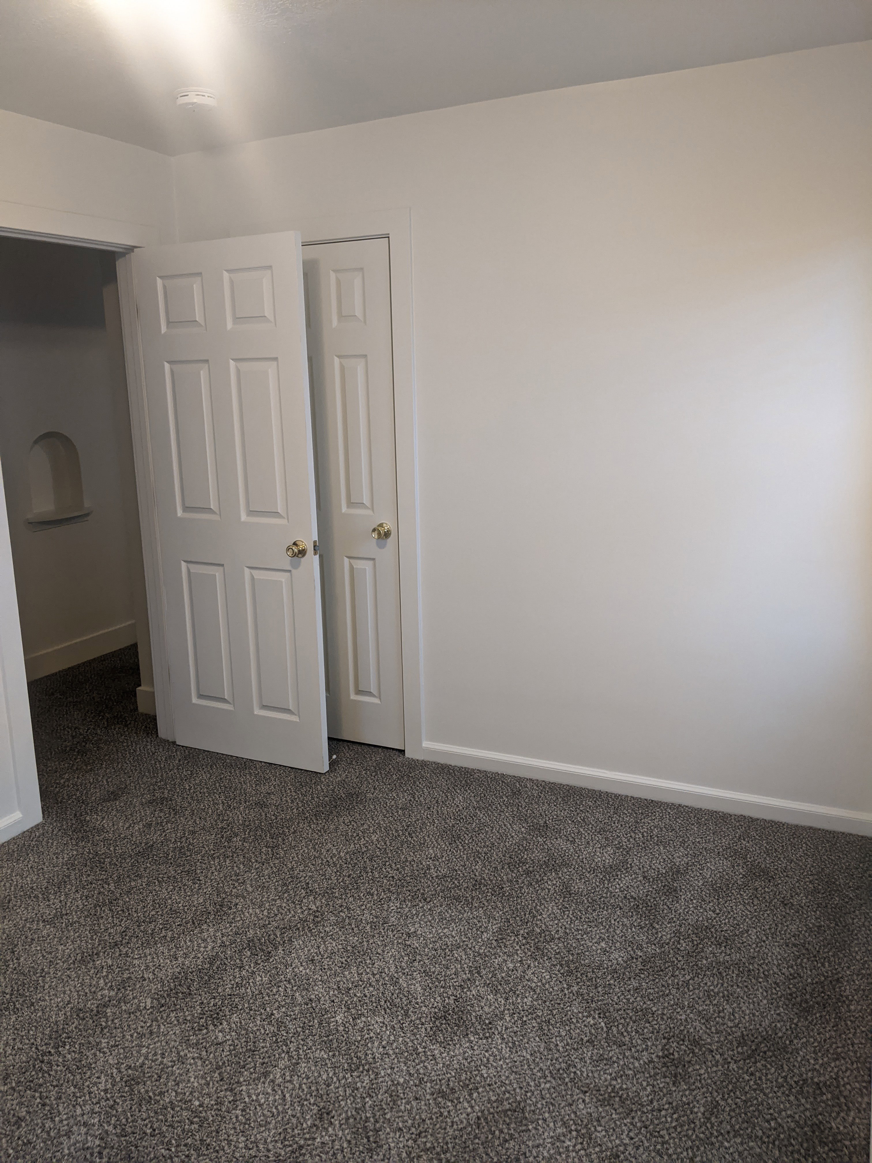 Grey textured carpet, white baseboards, and white walls