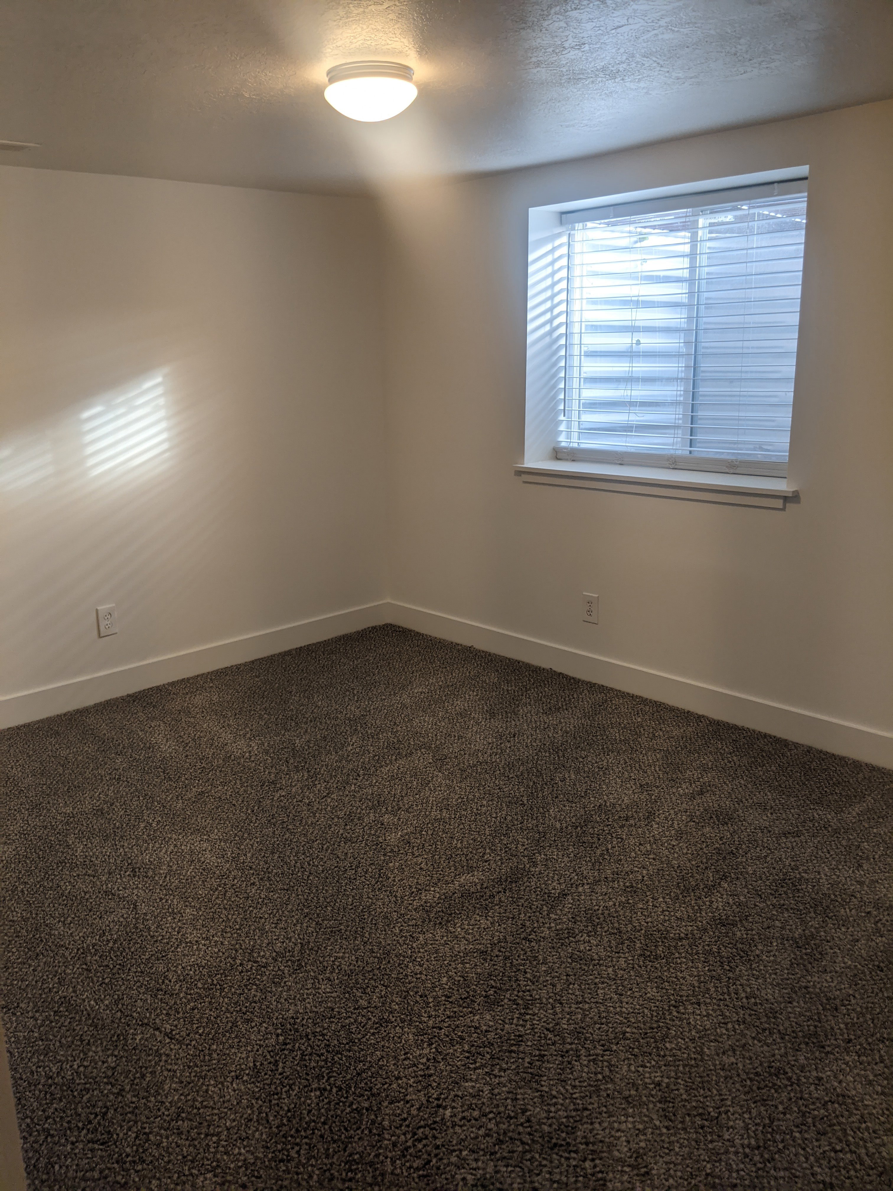 Carpeted room with a flush-mount ceiling light fixture, white walls, and white baseboards