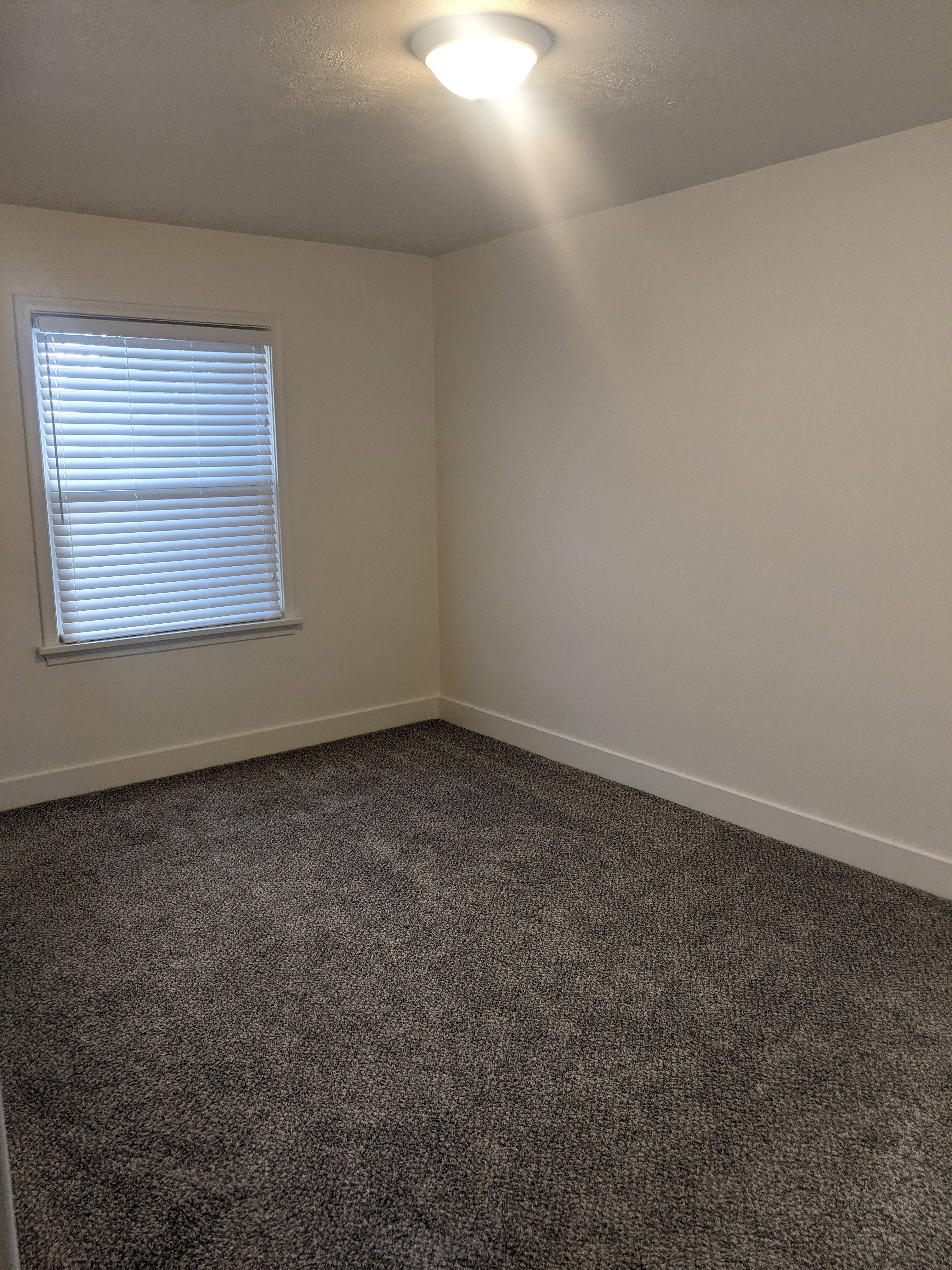 Carpeted room featuring a white ceiling, light-colored walls, white baseboards, and a single window with blinds