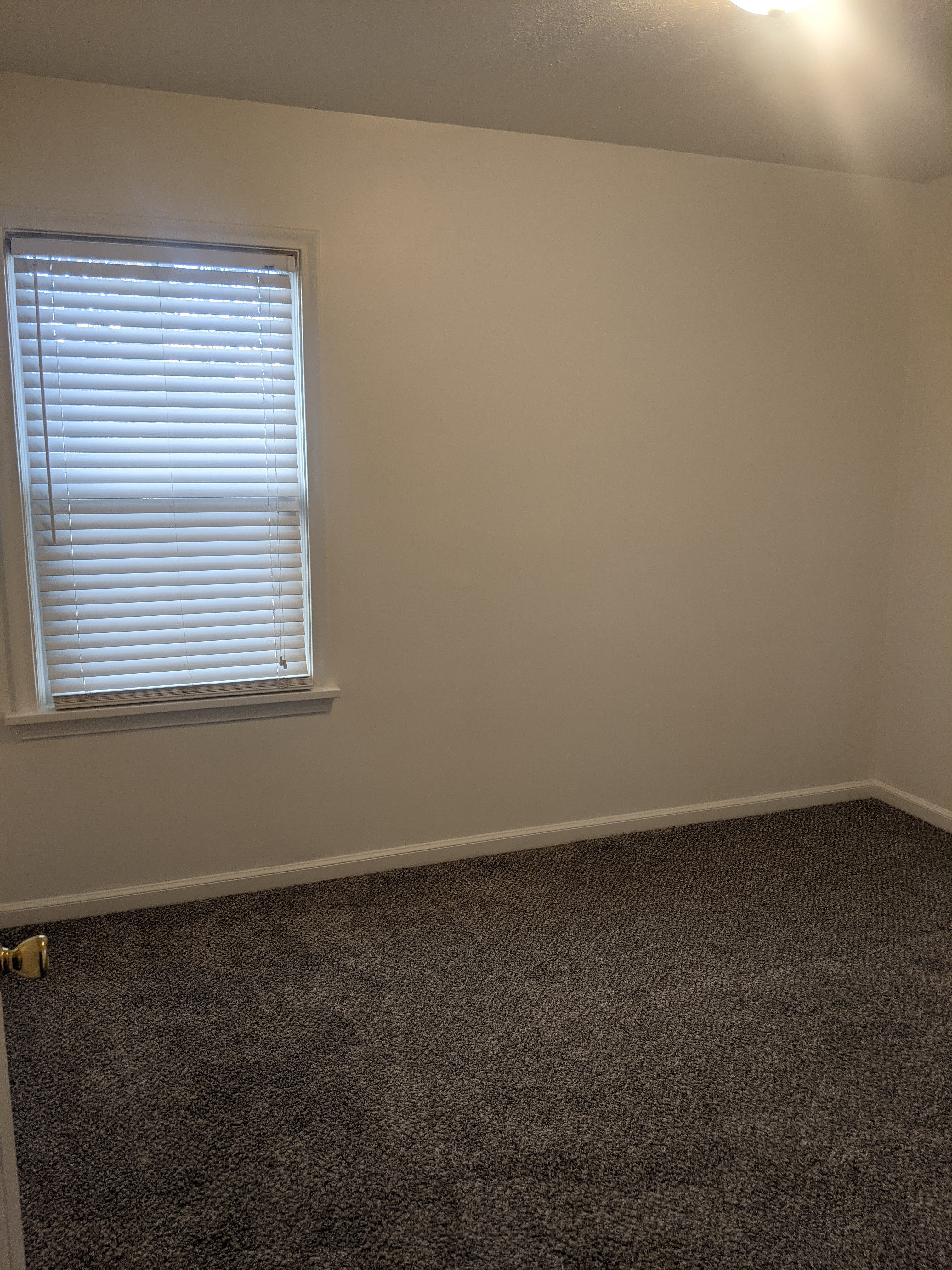 Neutral wall paint, window with blinds, dark textured carpeting, and white baseboards