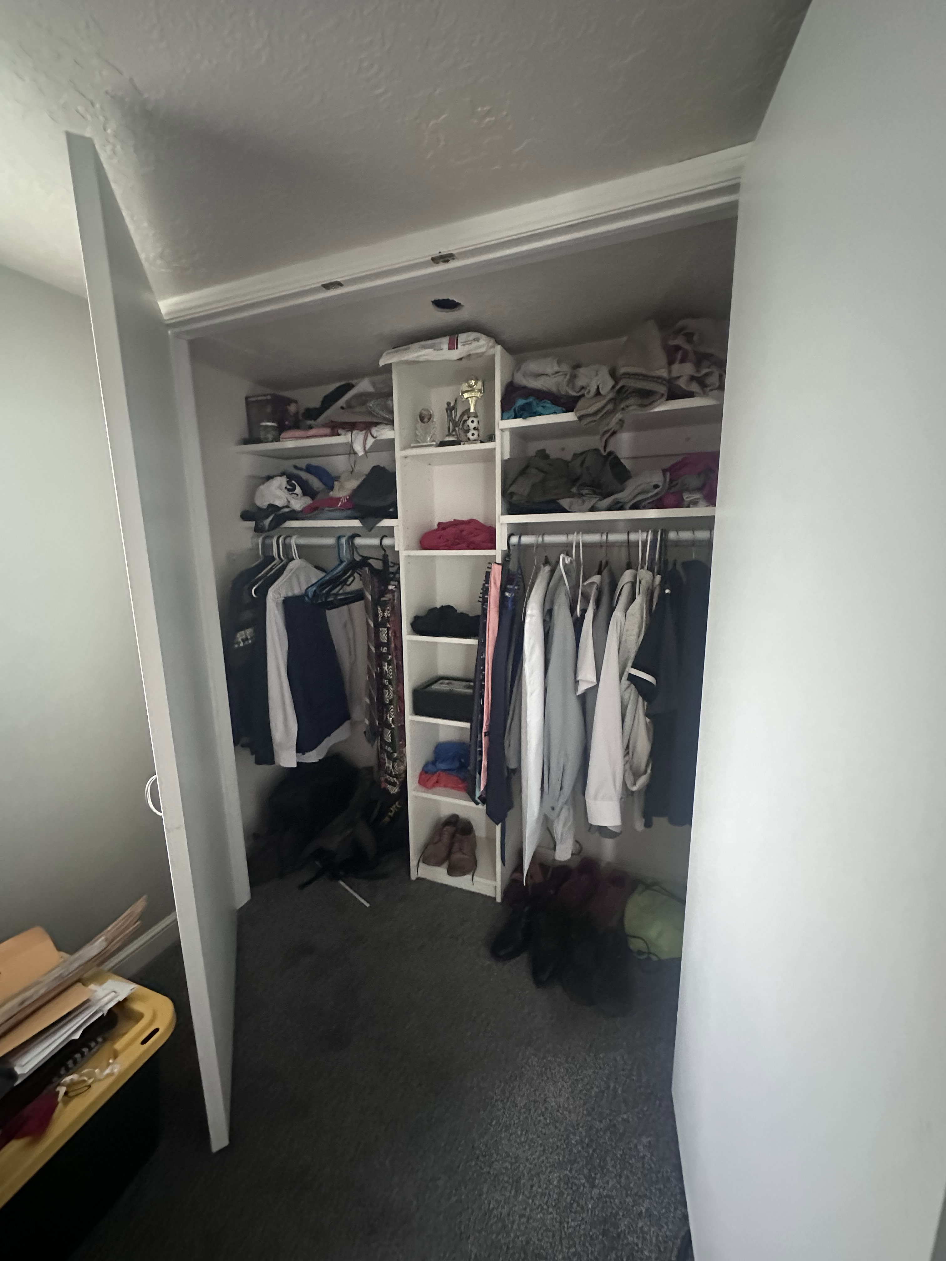Walk-in closet with built-in shelving, hanging rods, and carpet flooring
