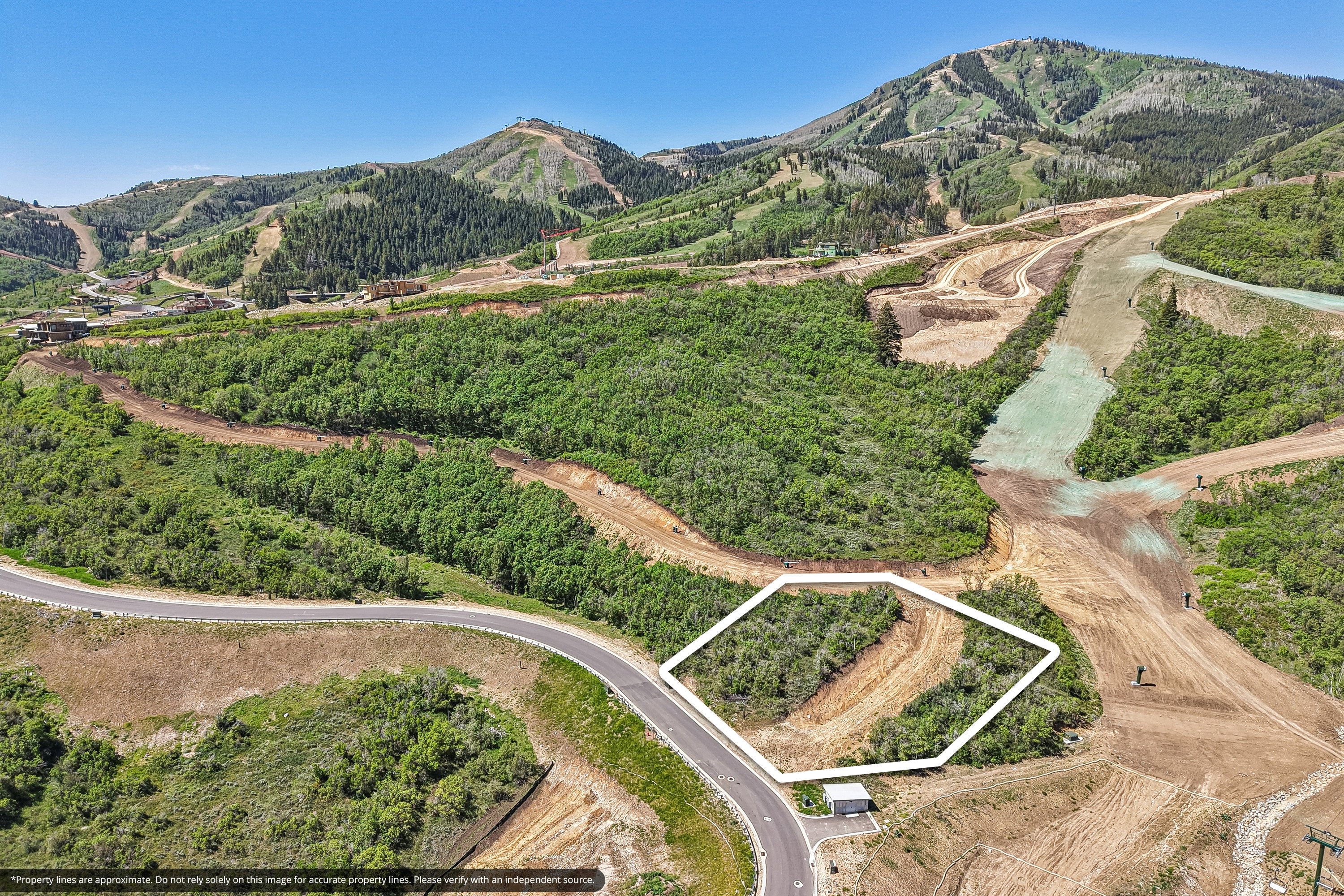 Expansive land parcel featuring established trees and direct road access