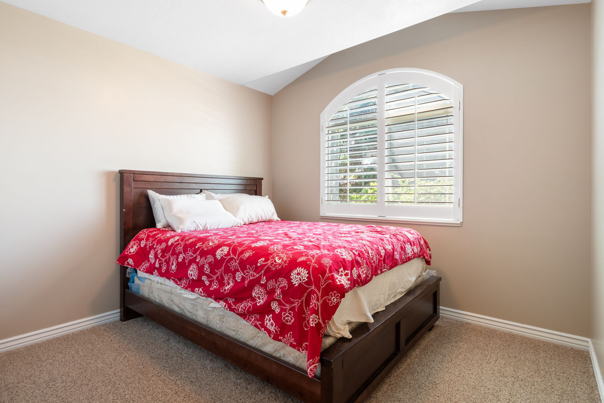 Arched window featuring white plantation shutters and natural light