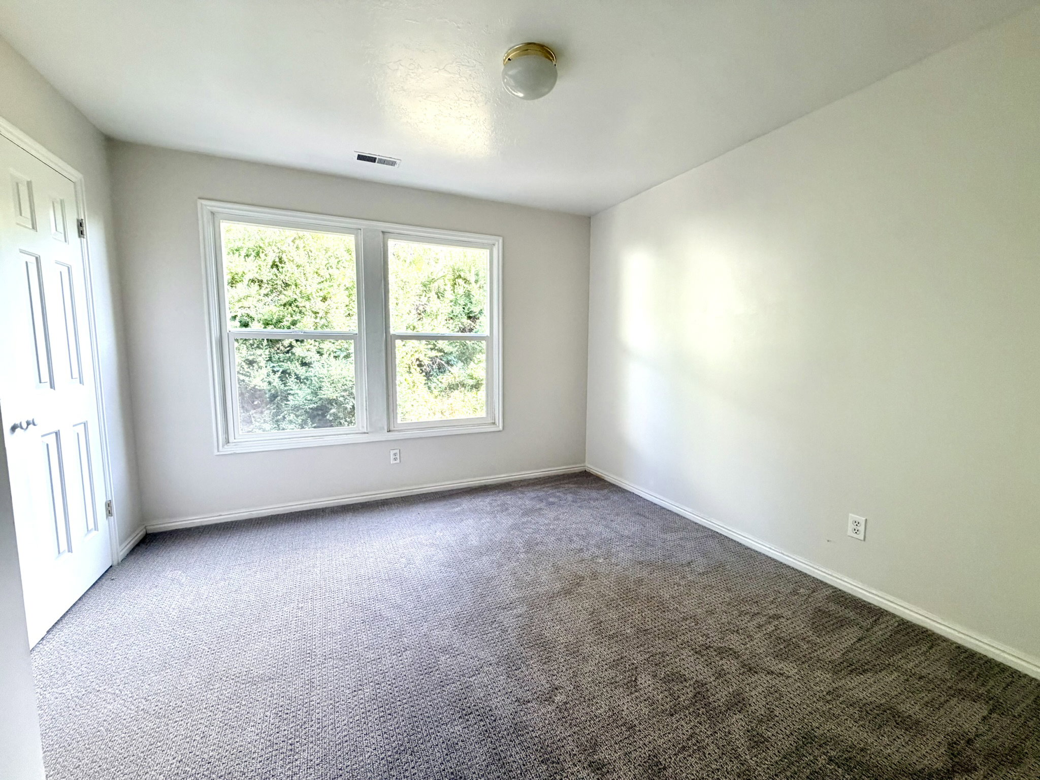 Room featuring dual windows, neutral-toned carpeting, white trim, and a ceiling-mounted light fixture