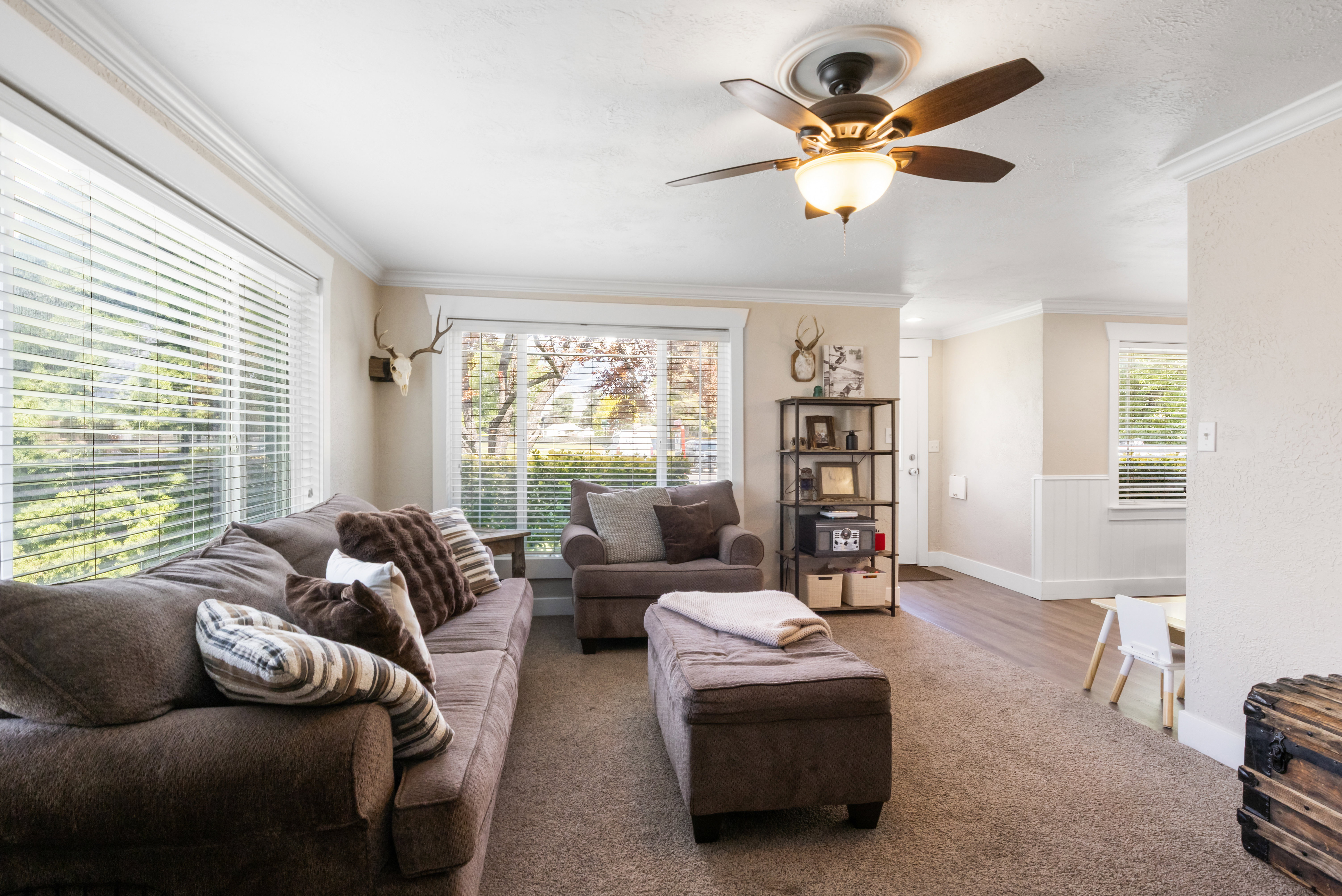Living area featuring broad windows with horizontal blinds, a ceiling fan with light fixture, crown molding, and wainscoting