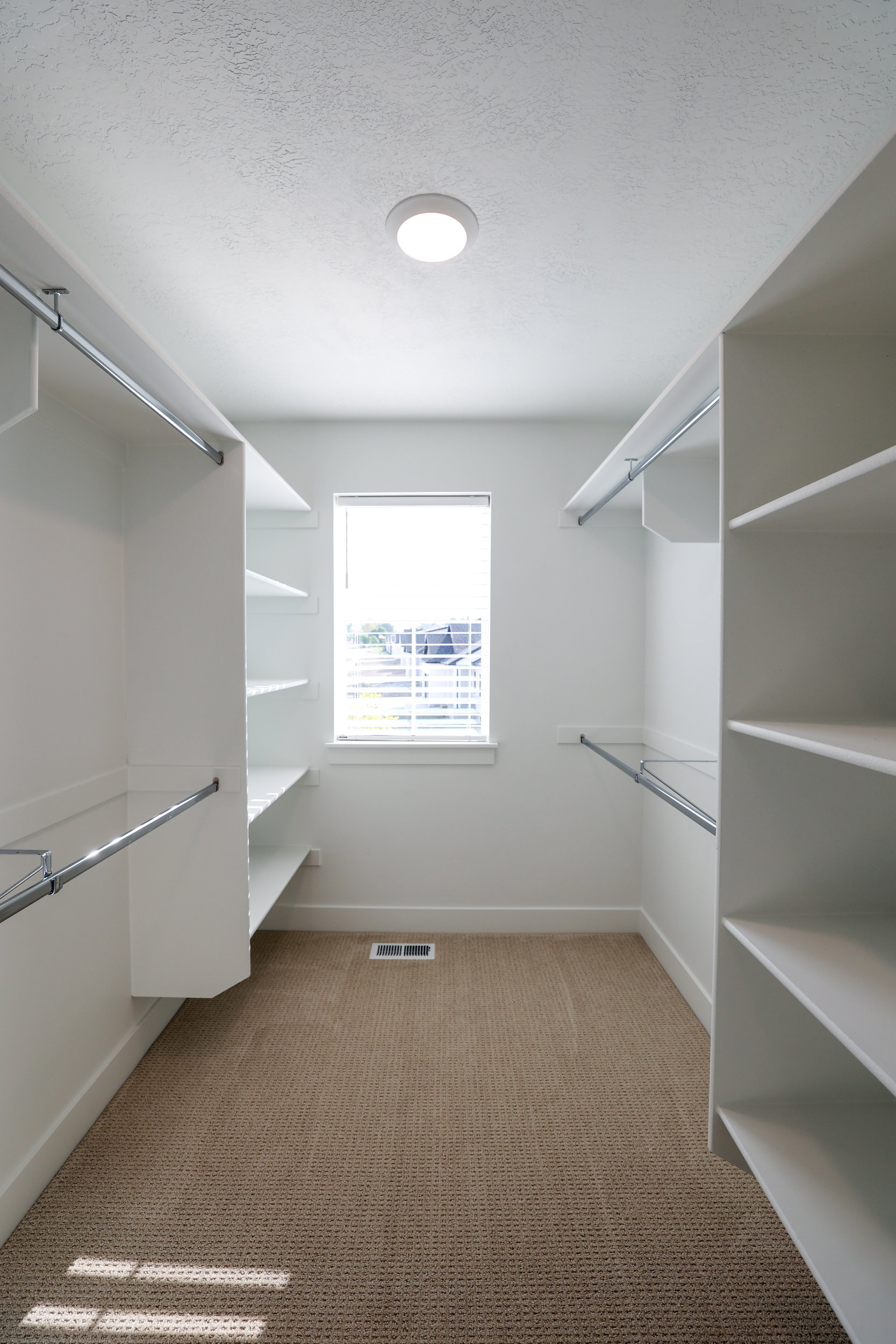 Walk-in closet featuring built-in shelving, hanging rods, an overhead light fixture, a window with blinds, and carpet flooring