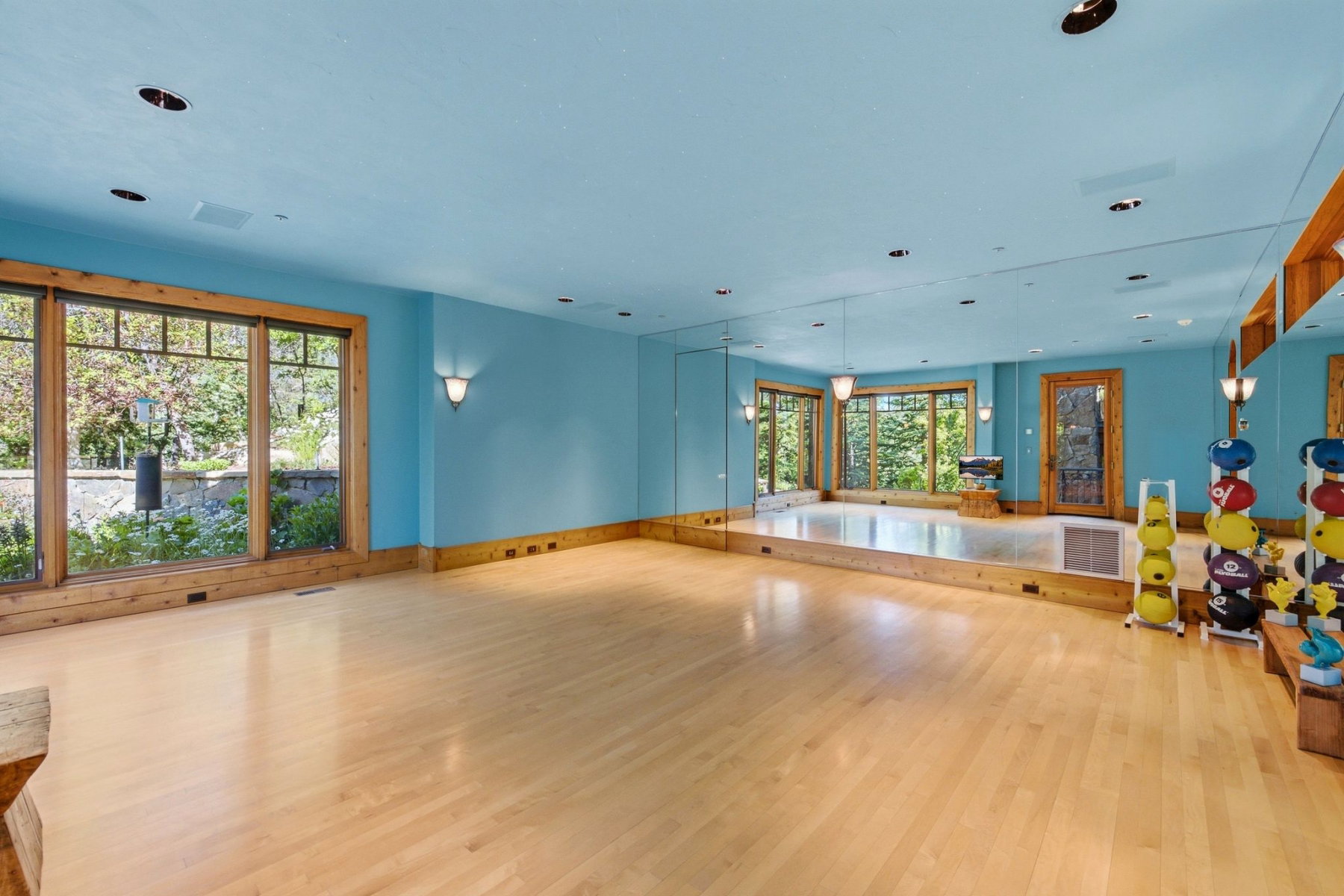 Spacious room featuring light wood-finish flooring, full-wall mirrors, and extensive natural light through large windows