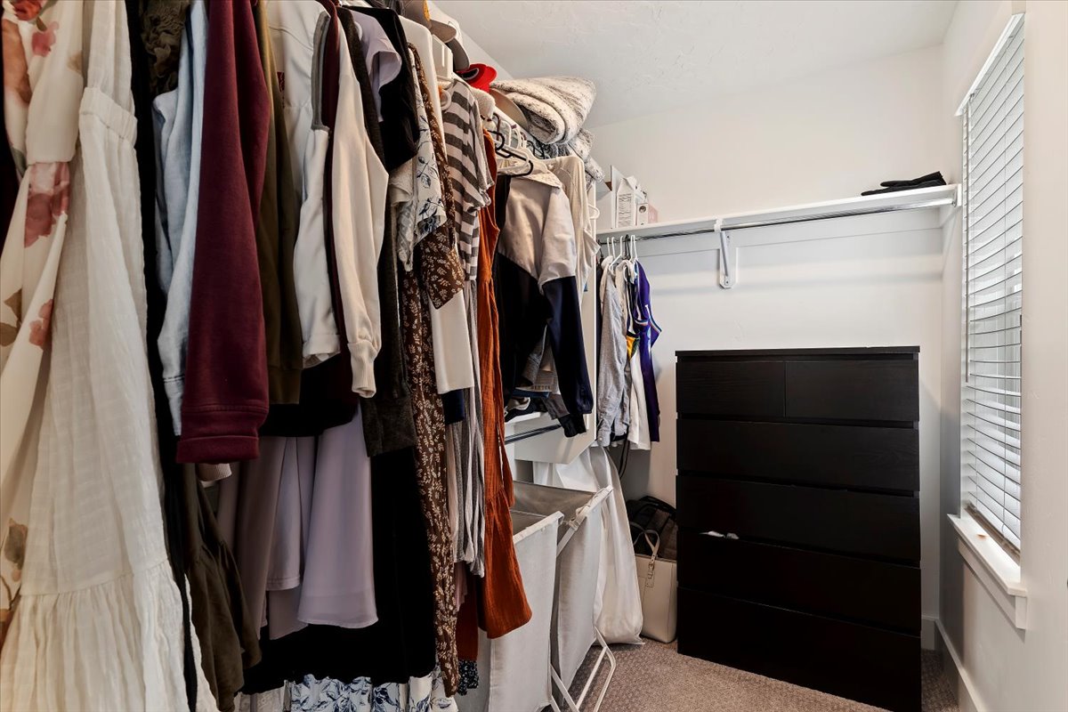 Walk-in closet featuring carpet flooring, built-in shelving, and a window with blinds