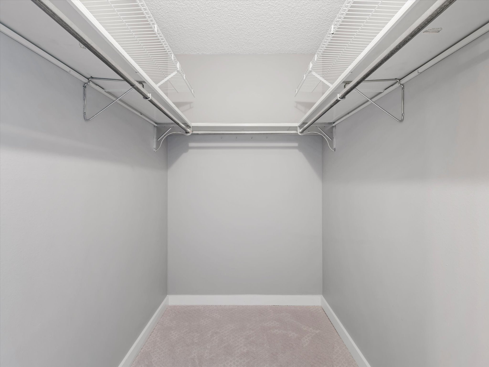 Walk-in closet featuring light gray walls, white trim, and light-colored carpet