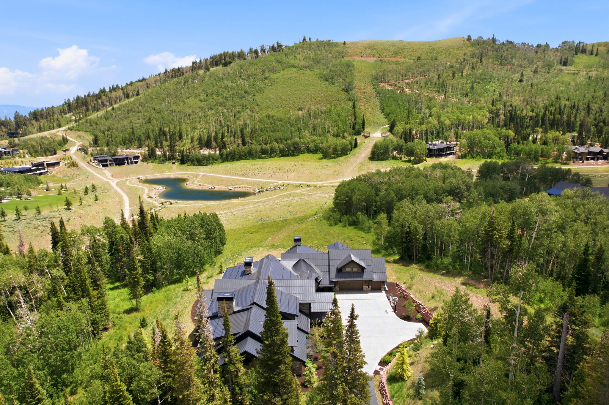 Modern mountain residence set amidst a verdant landscape
