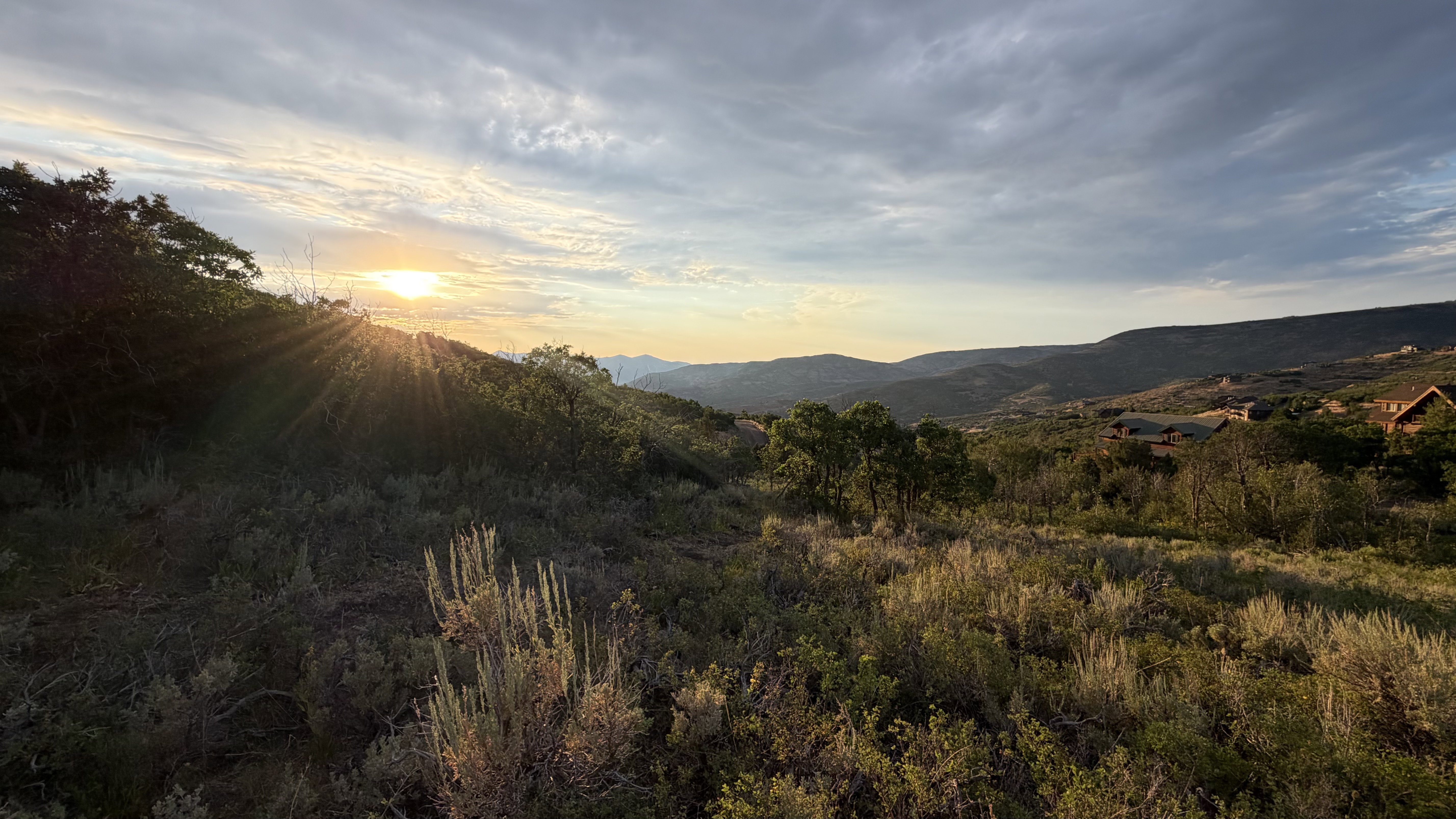 Expansive landscape featuring distant mountains and a diverse array of natural vegetation