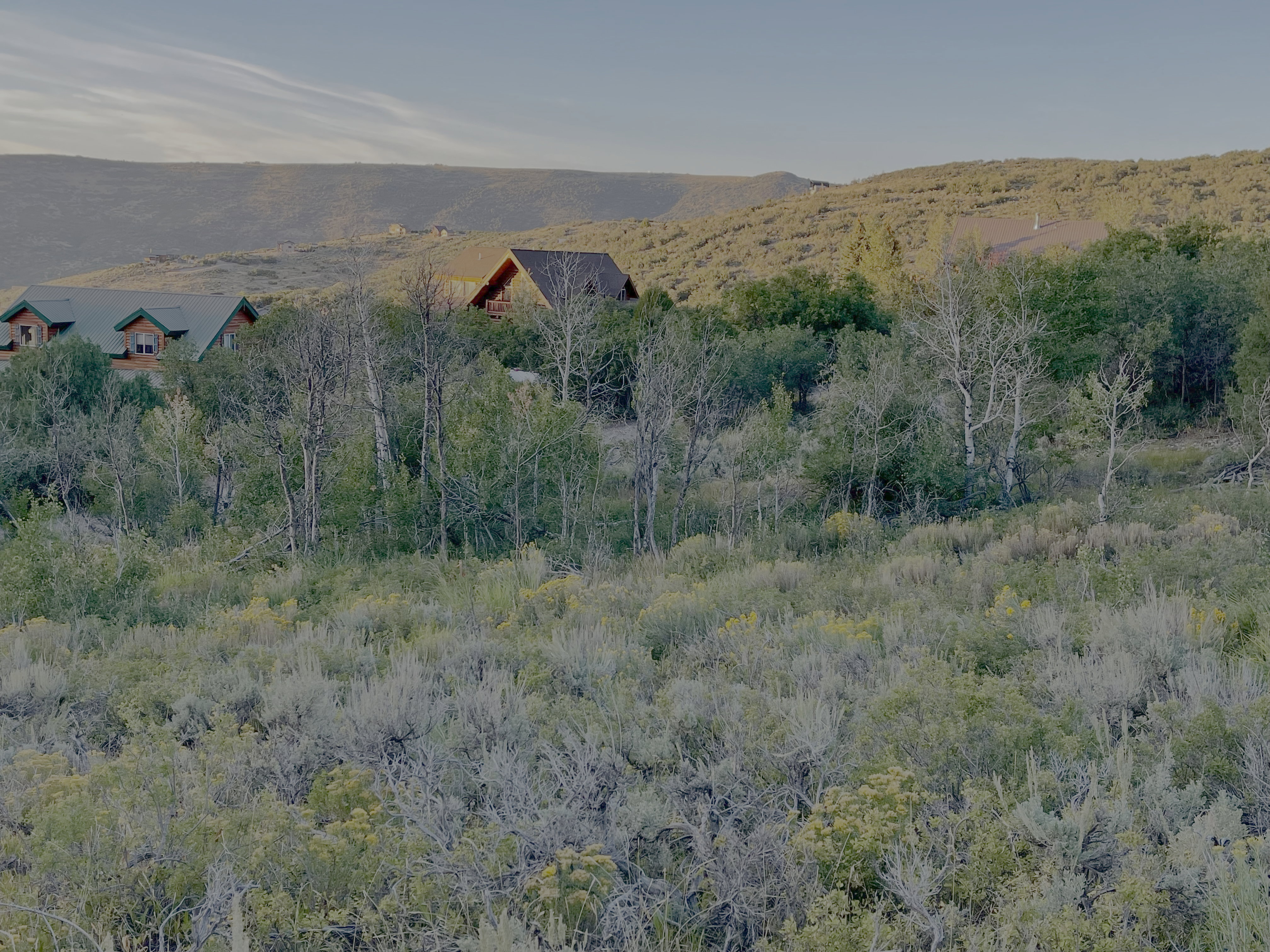 Mountain view