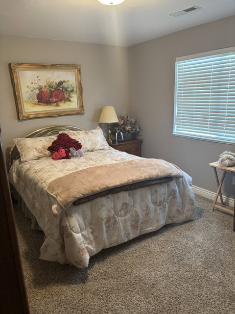 Carpeted room featuring a window with blinds, a ceiling-mounted light fixture, and neutral-toned walls