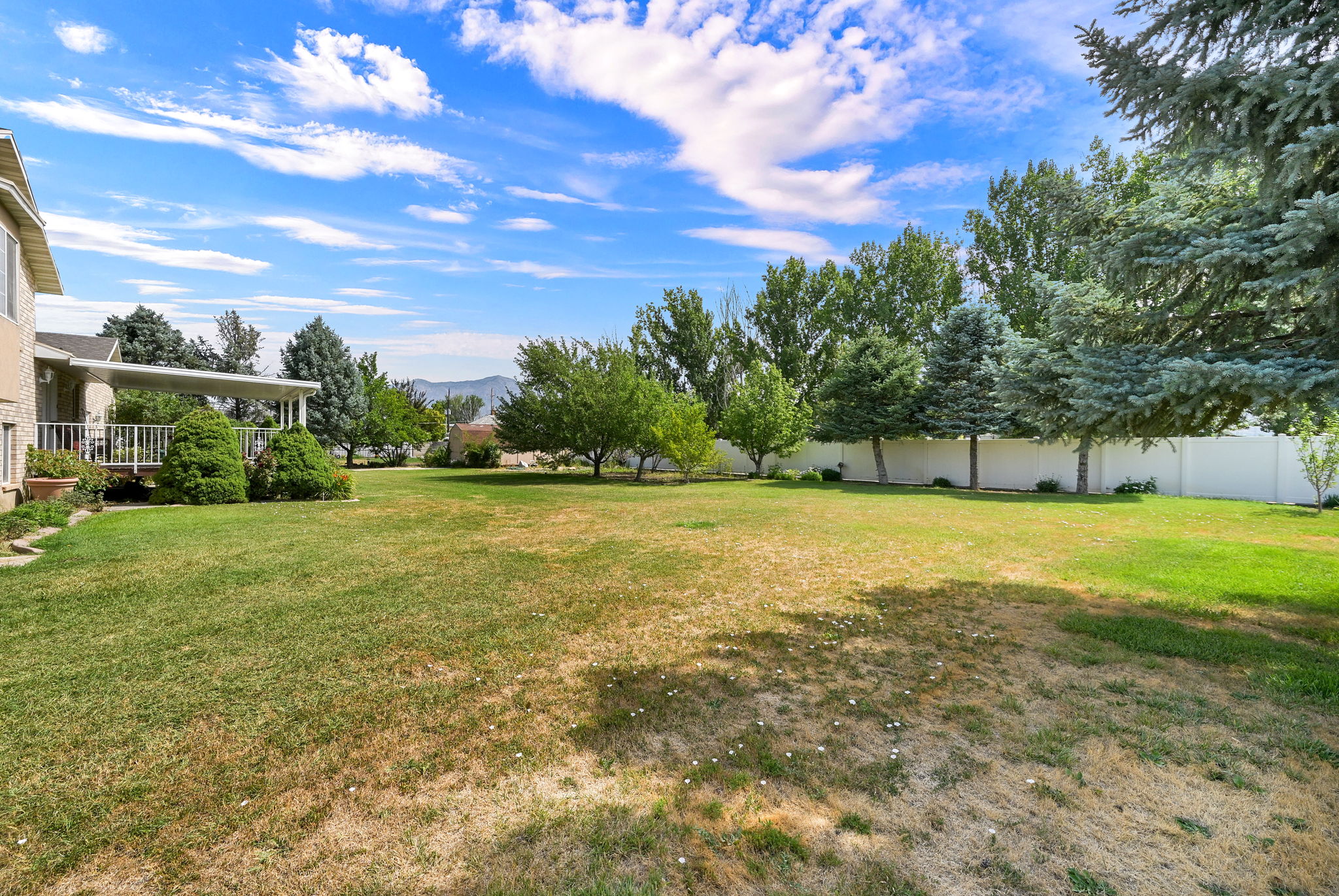 Expansive lawn with mature trees and a white privacy fence