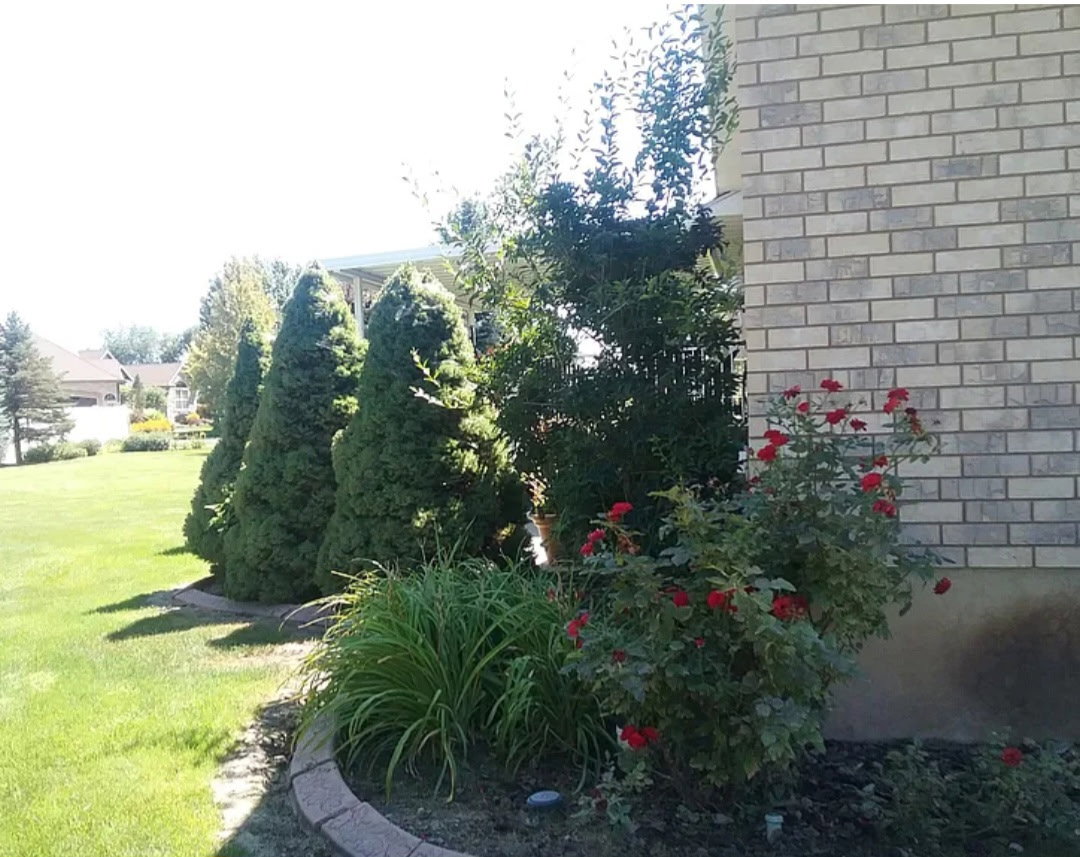 Brick exterior featuring a stone-edged flower bed with red rose bushes and lush green landscaping
