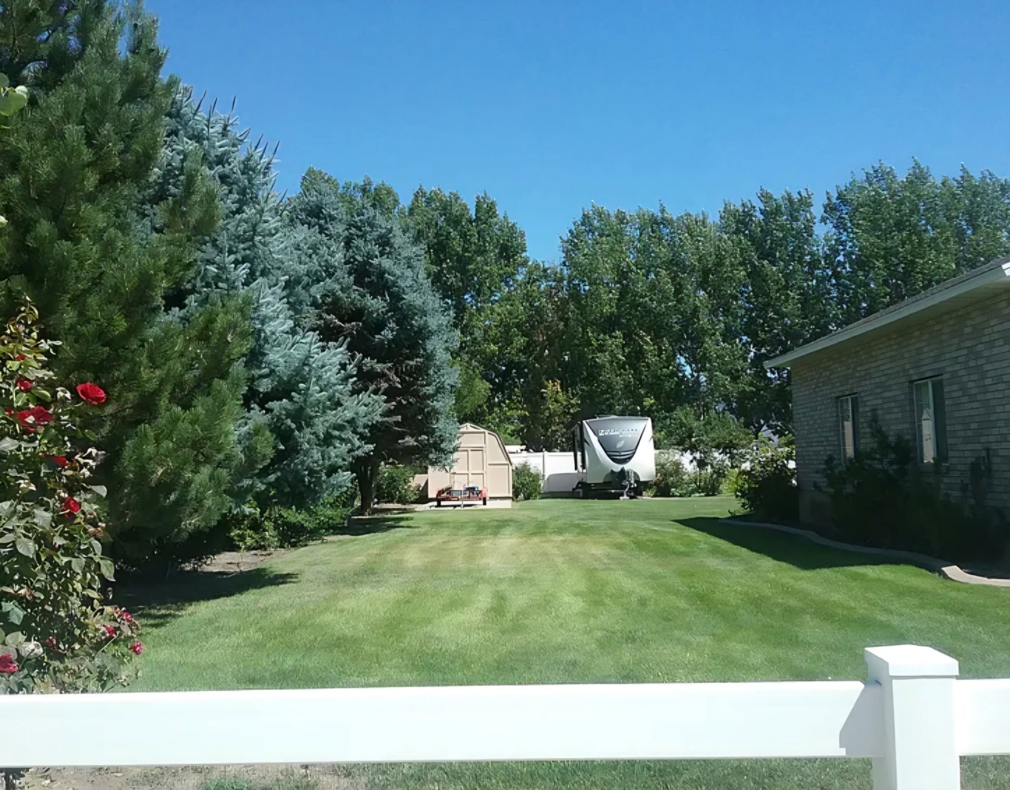Expansive green lawn framed by mature evergreen trees