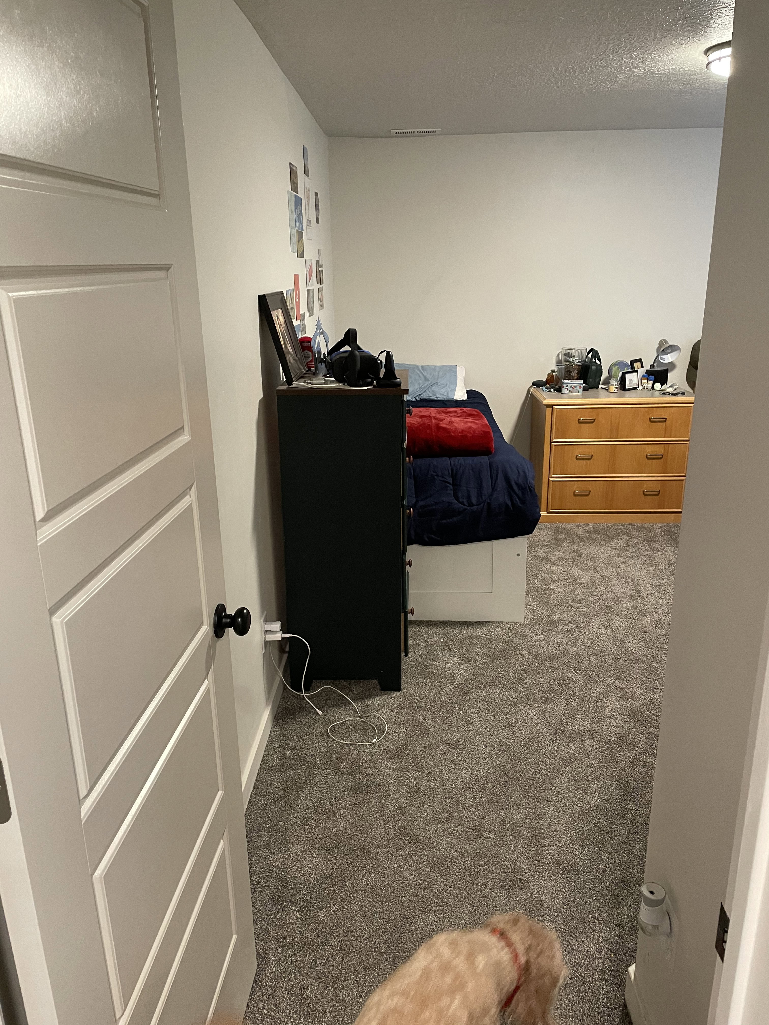 Interior room featuring a textured carpet flooring and white painted walls